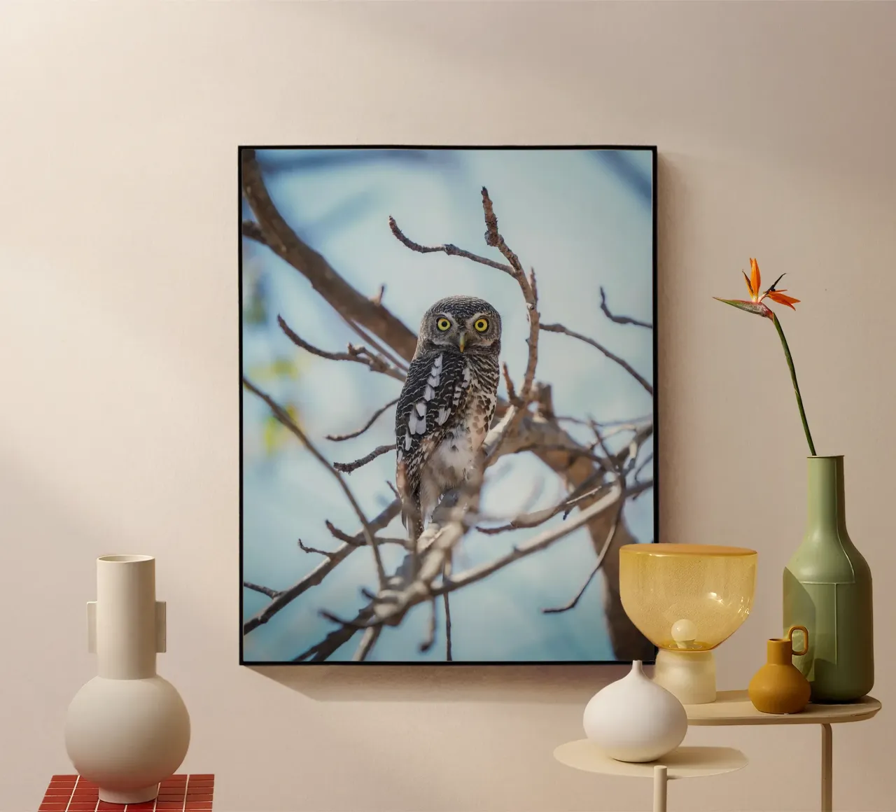 Uil acryl van Tom's Wildlife