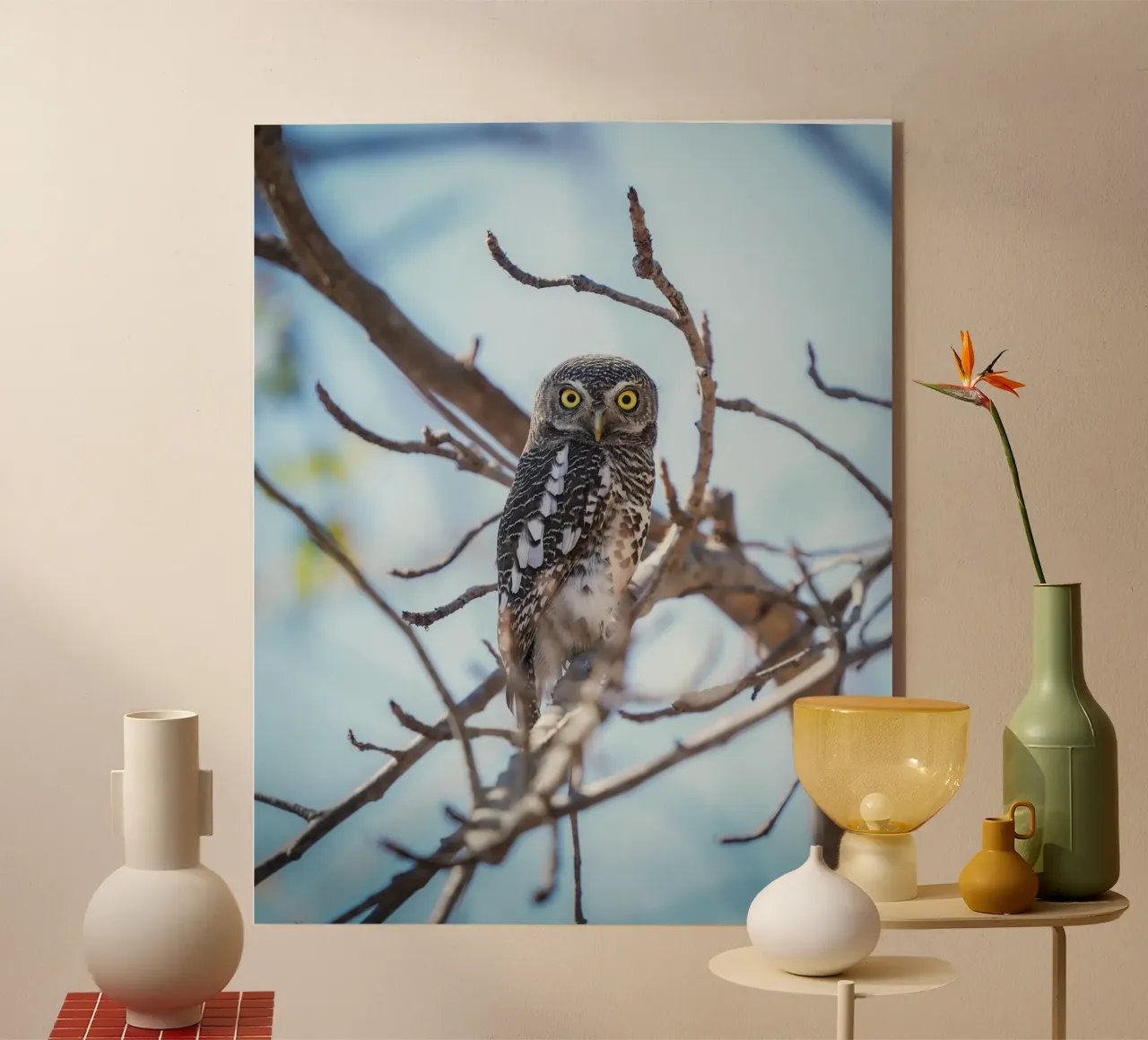 Uil acryl van Tom's Wildlife