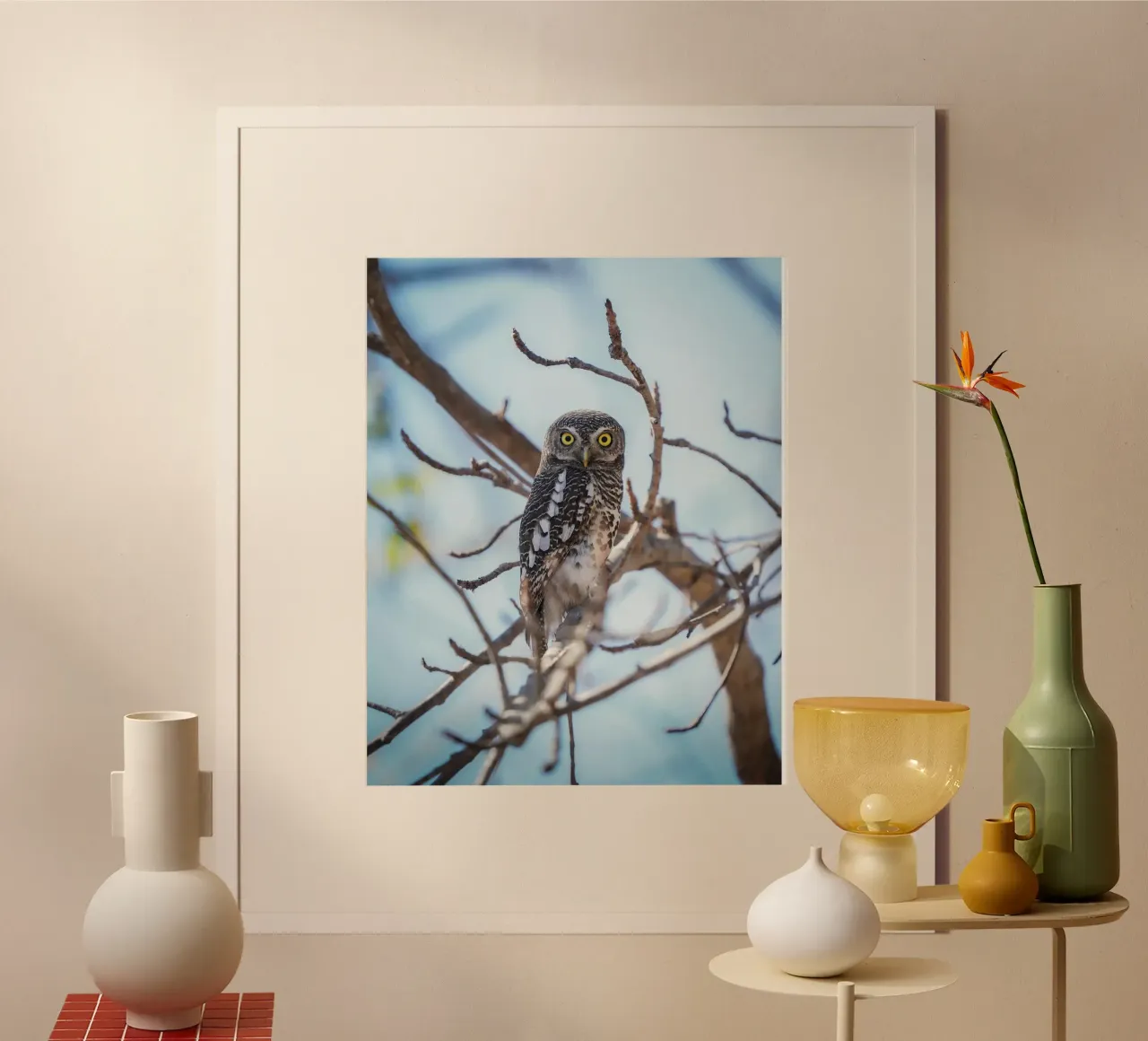 Gufo poster da Tom's Wildlife