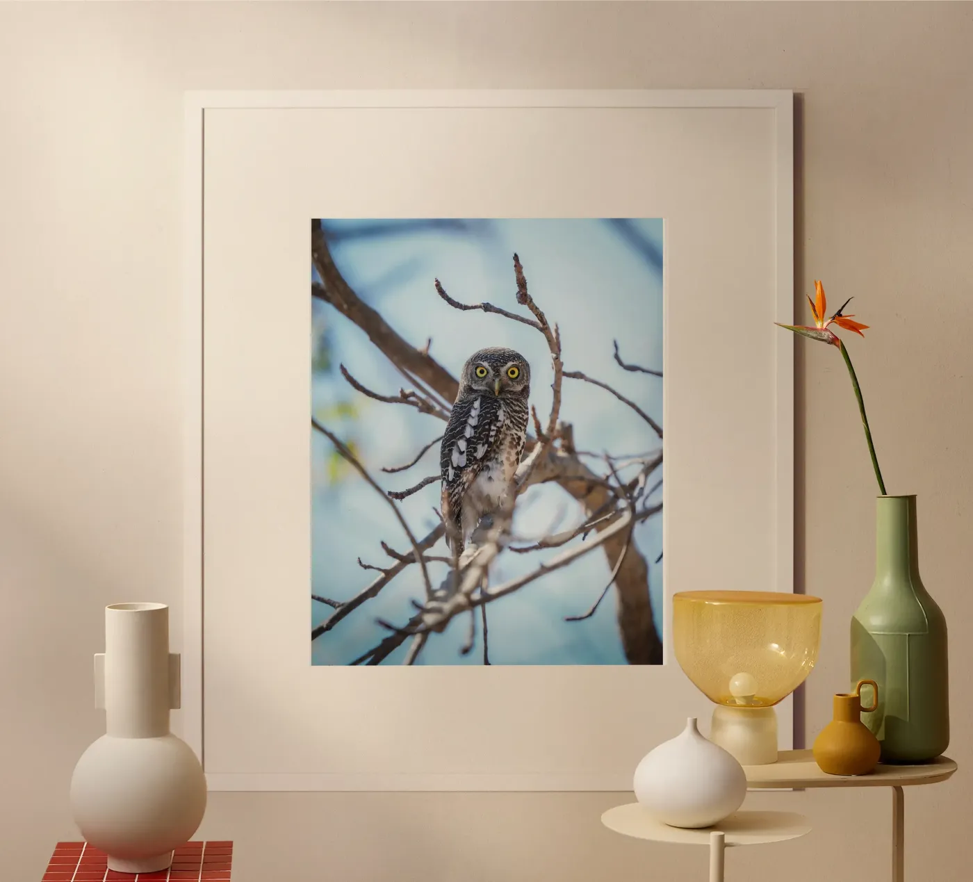 Owl poster da Tom's Wildlife