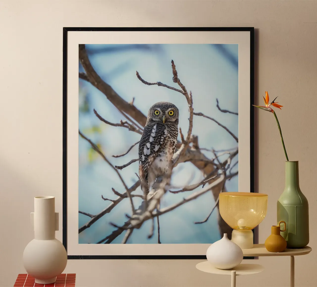 Gufo poster da Tom's Wildlife