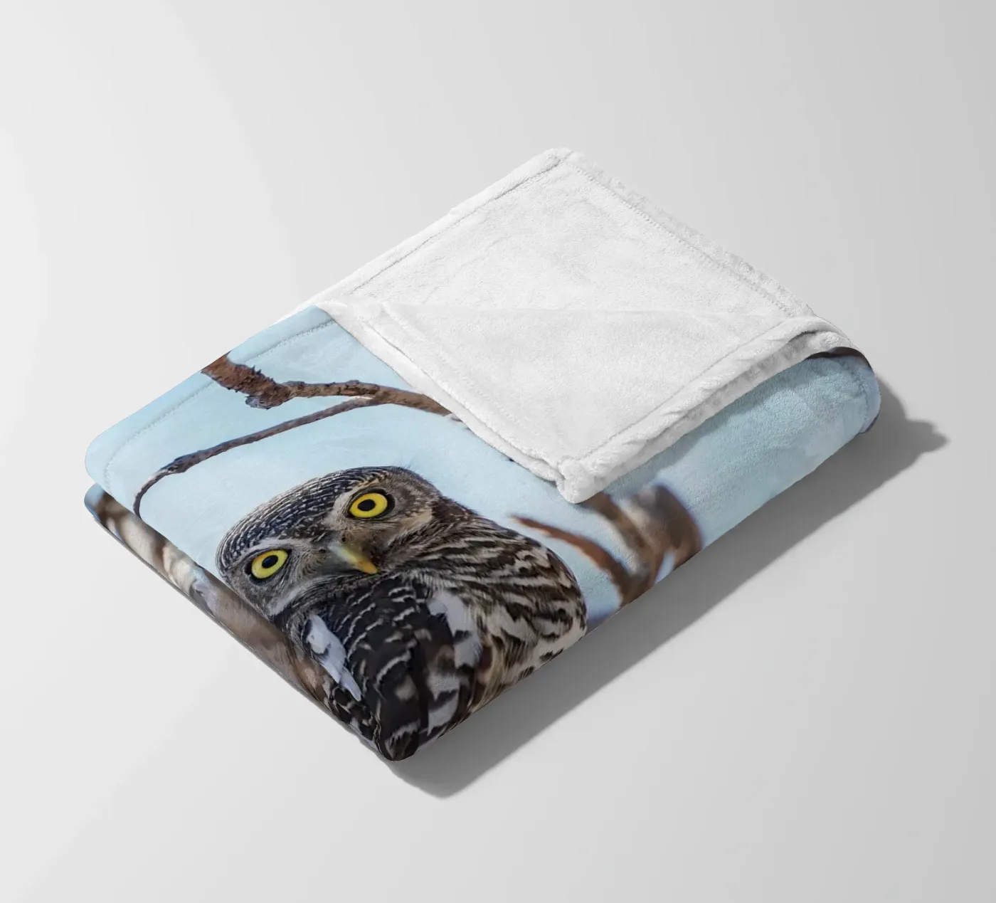 Hibou plaid polaire de Tom's Wildlife