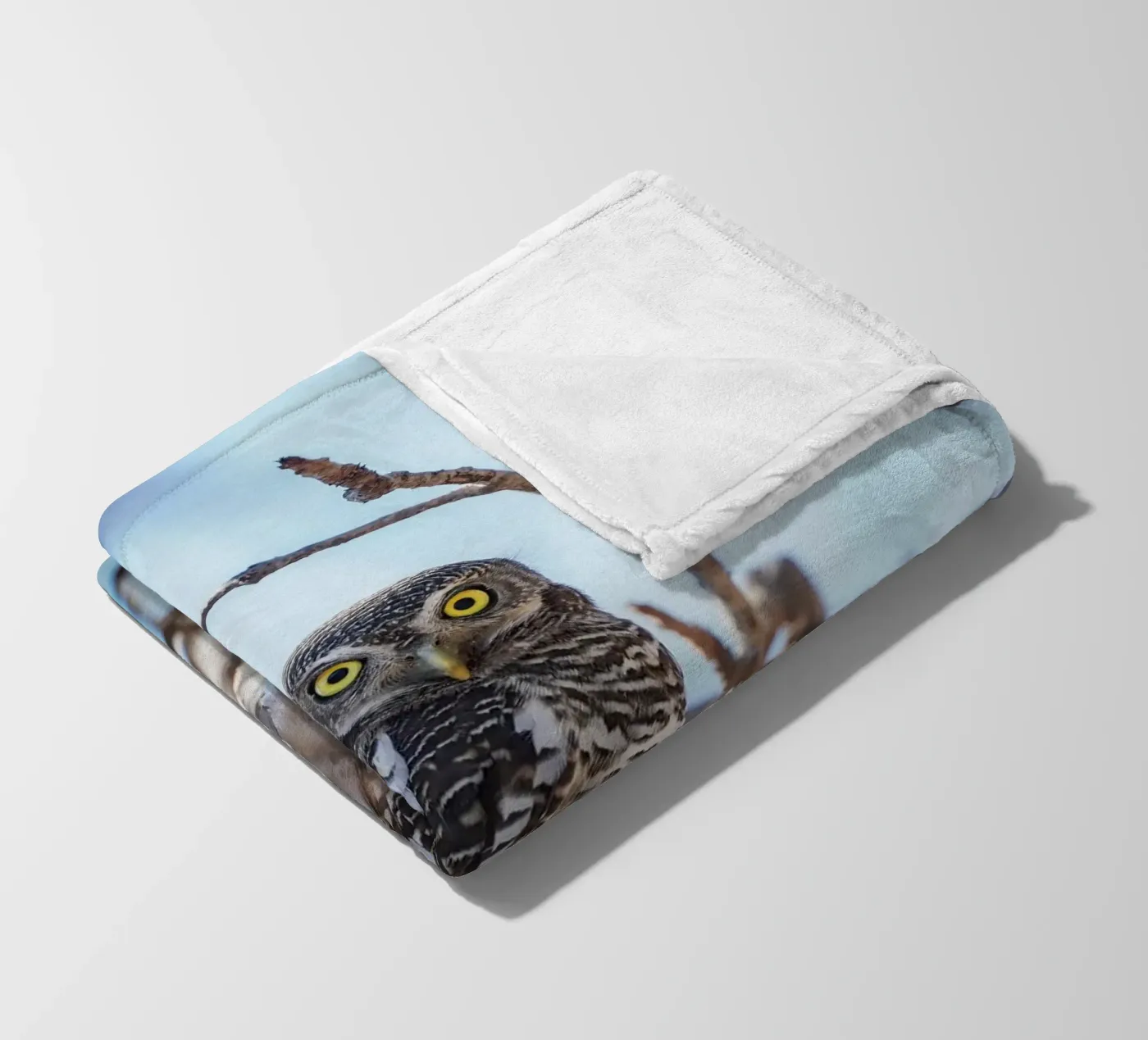 Hibou plaid polaire de Tom's Wildlife