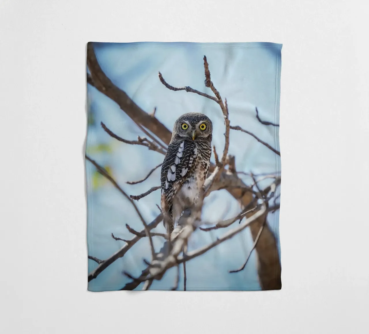 Eule Fleecedecke von Tom's Wildlife