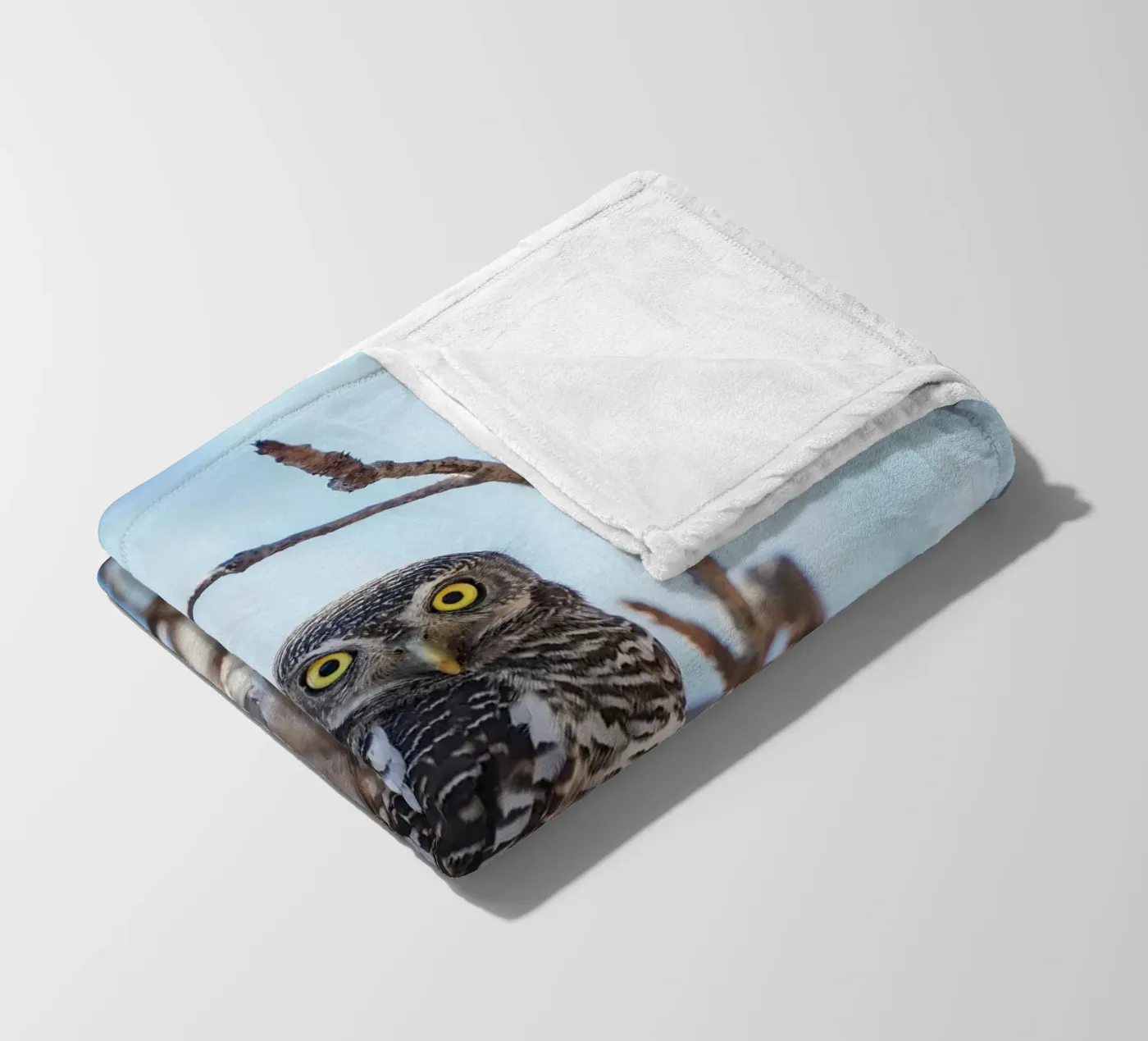 Hibou plaid polaire de Tom's Wildlife