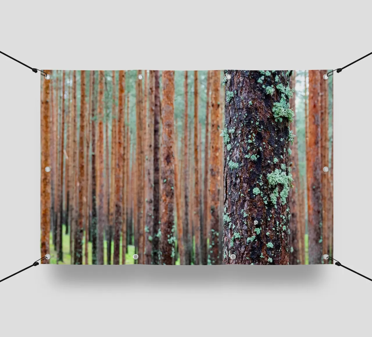 foresta fitta telo in pvc da anderm
