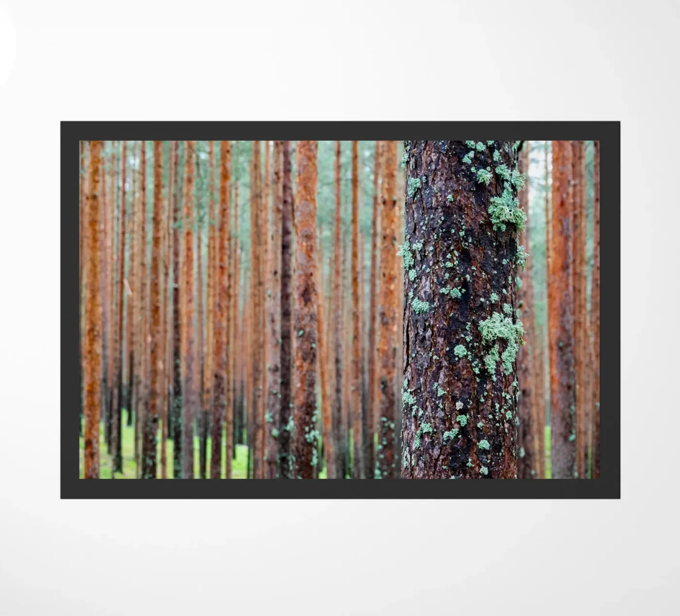 dense forest doormat by anderm