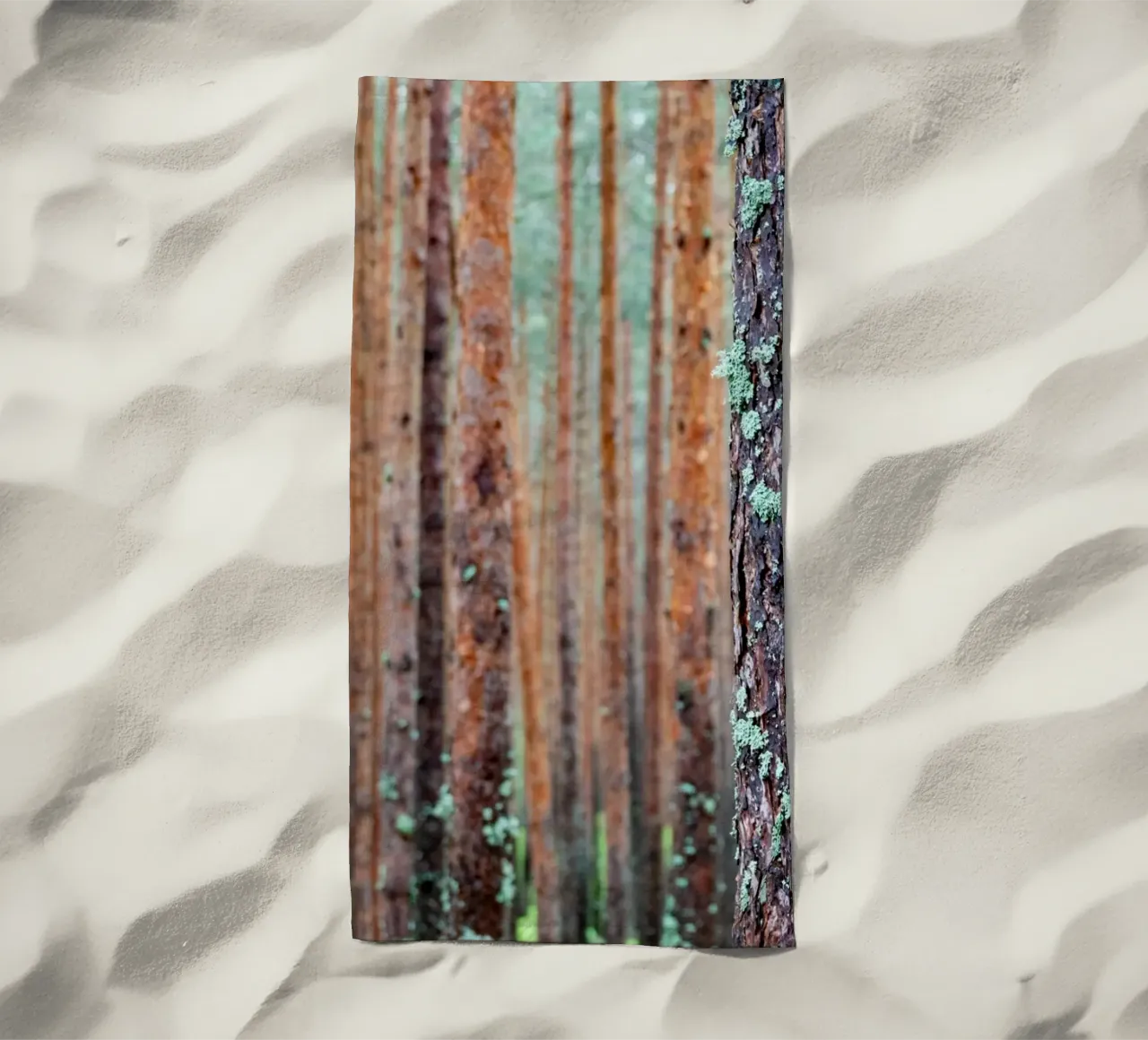foresta fitta telo mare da anderm