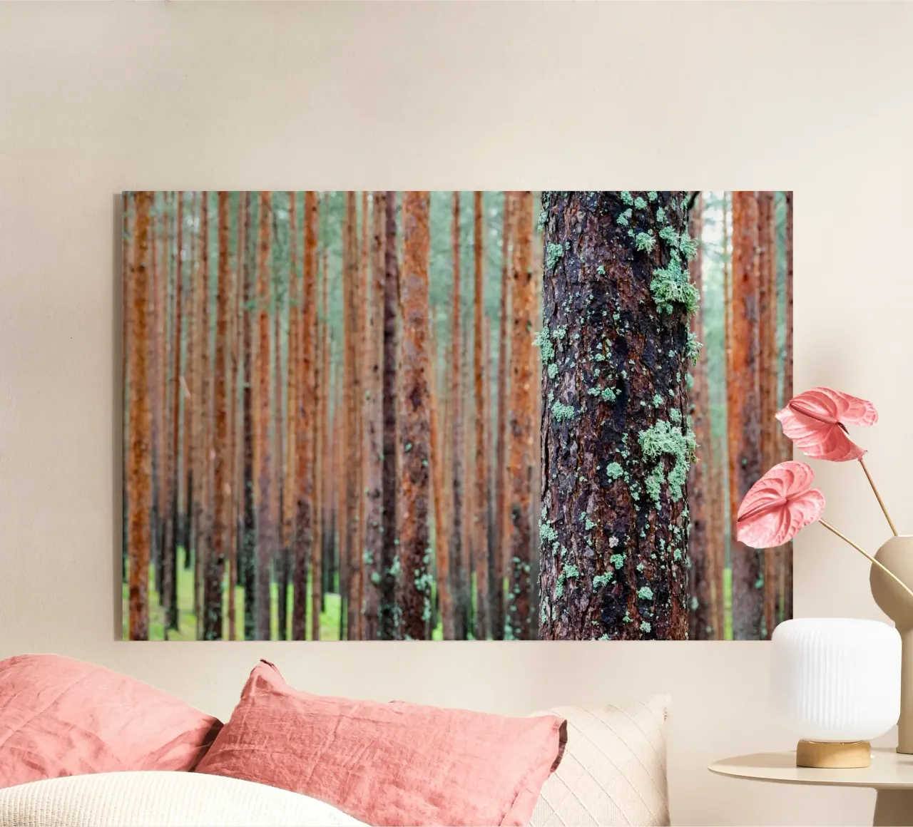 foresta fitta plexiglass da anderm