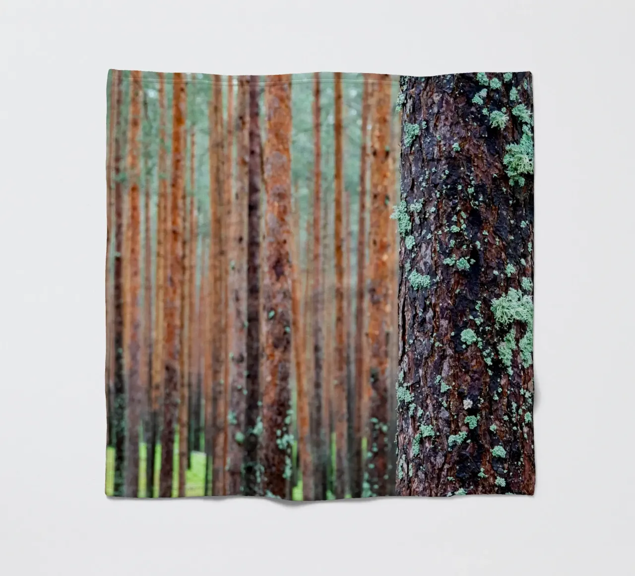 foresta fitta coperta in pile da anderm