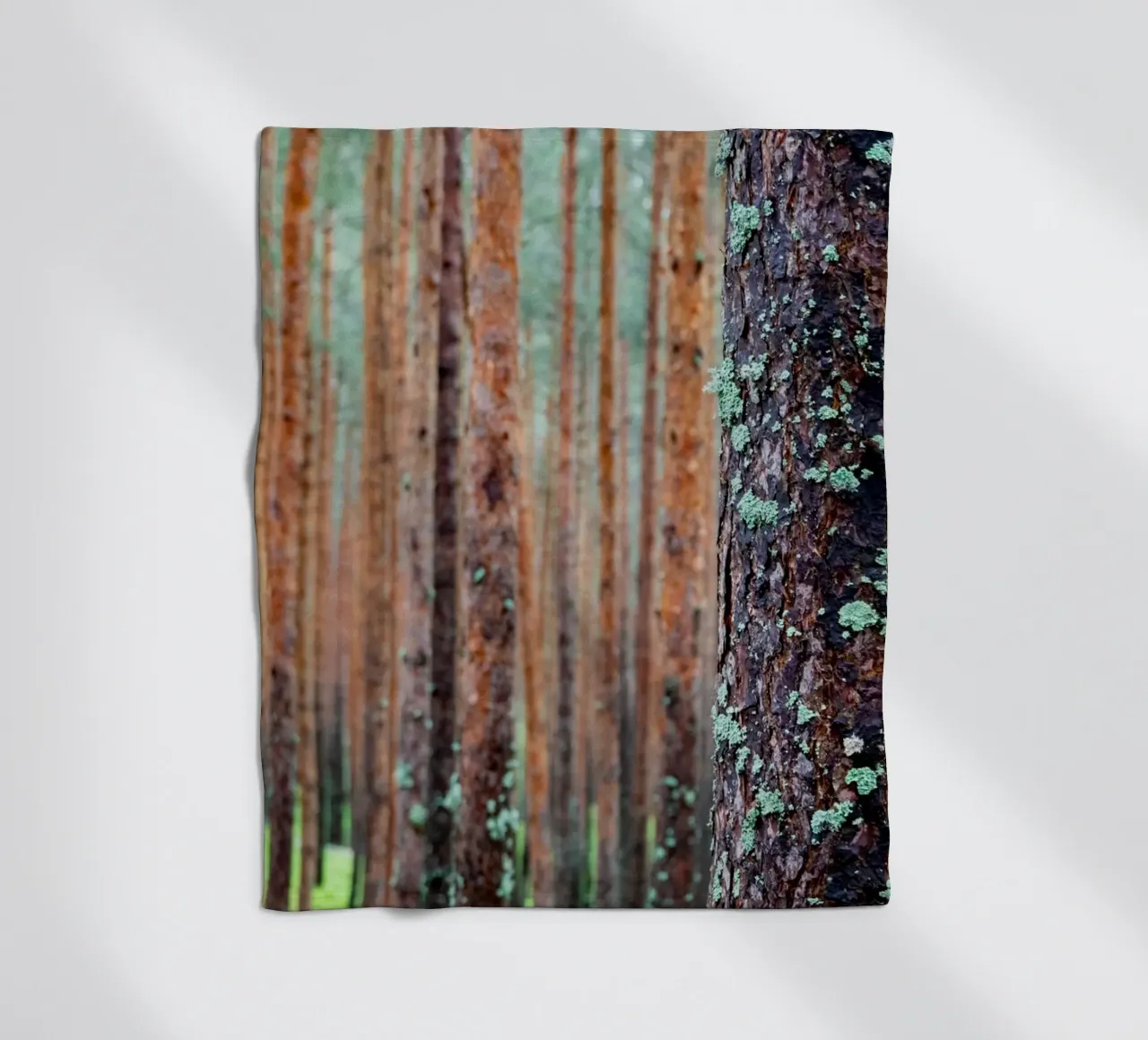foresta fitta coperta in pile da anderm