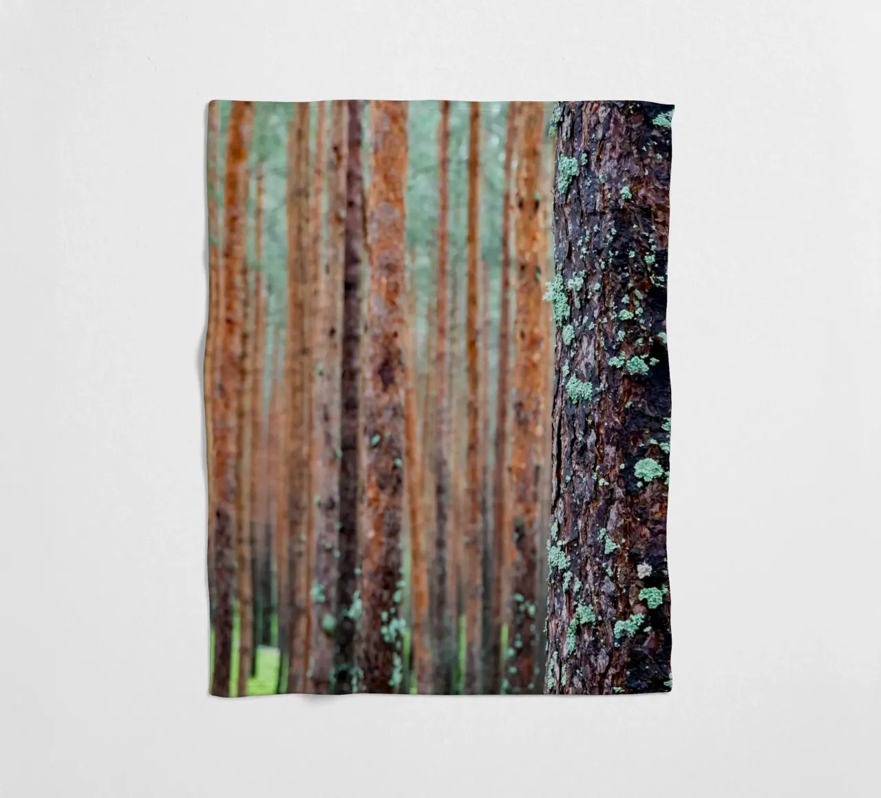 foresta fitta coperta in pile da anderm