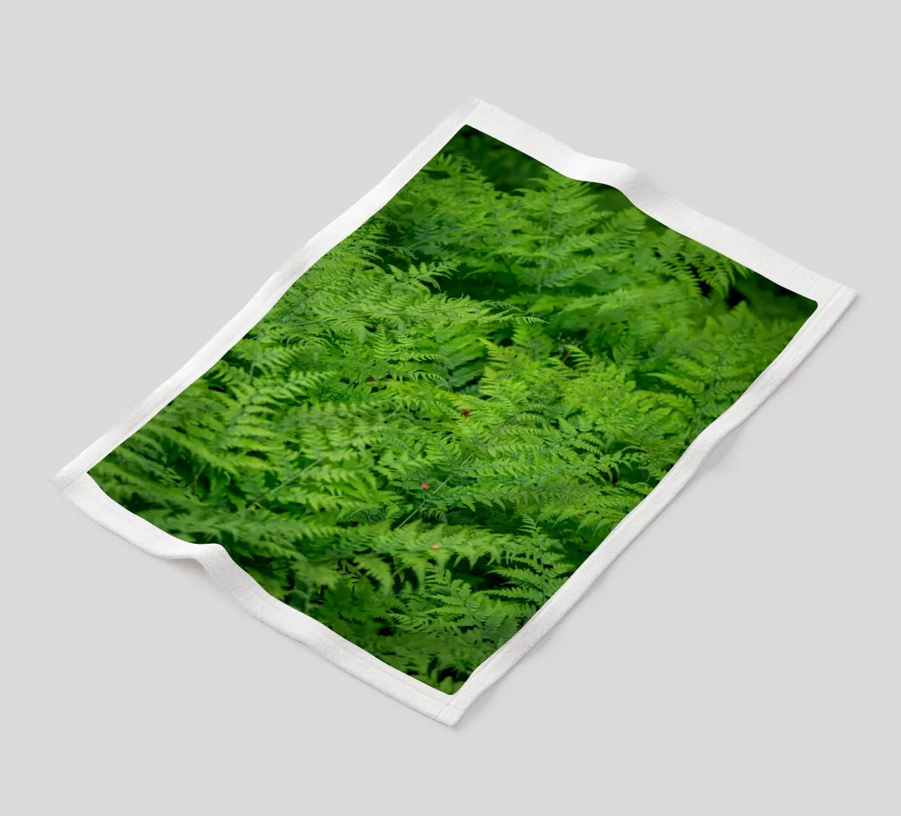 Farn in den Wäldern Fleecedecke von anderm