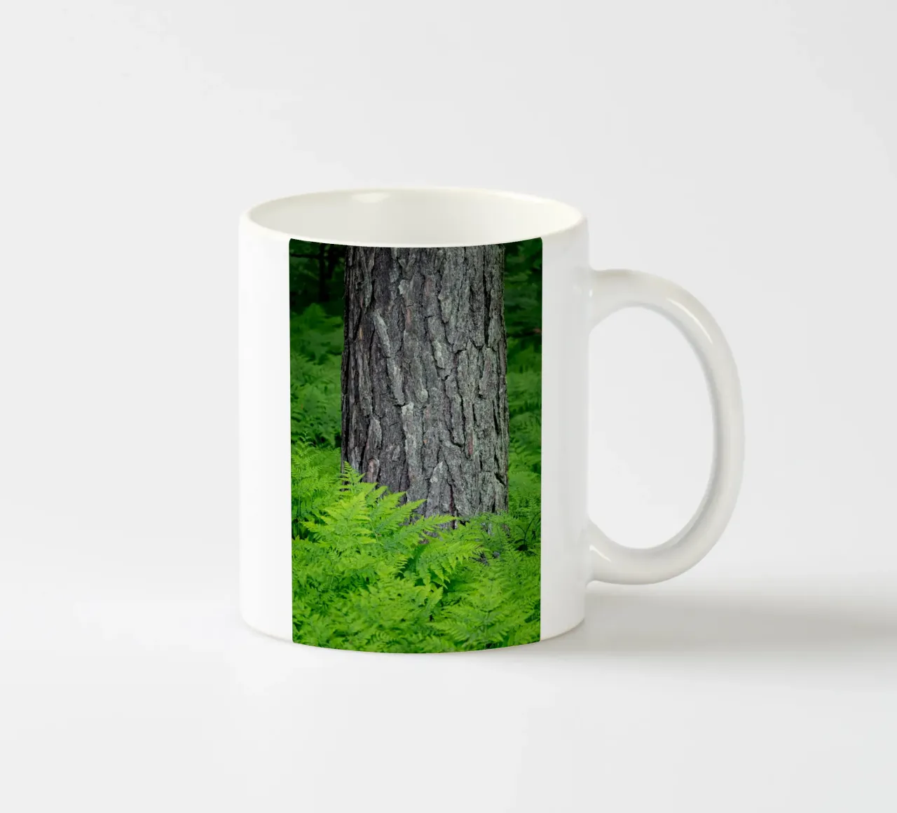 Farn in den Wäldern Keramik Tasse von anderm