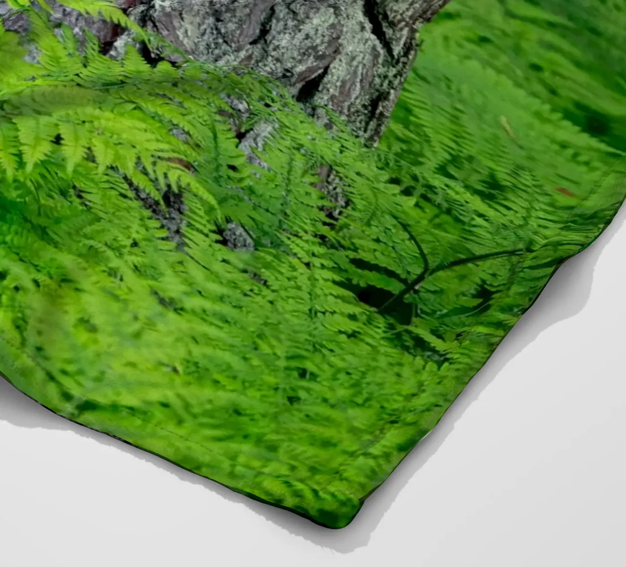 Farn in den Wäldern Fleecedecke von anderm