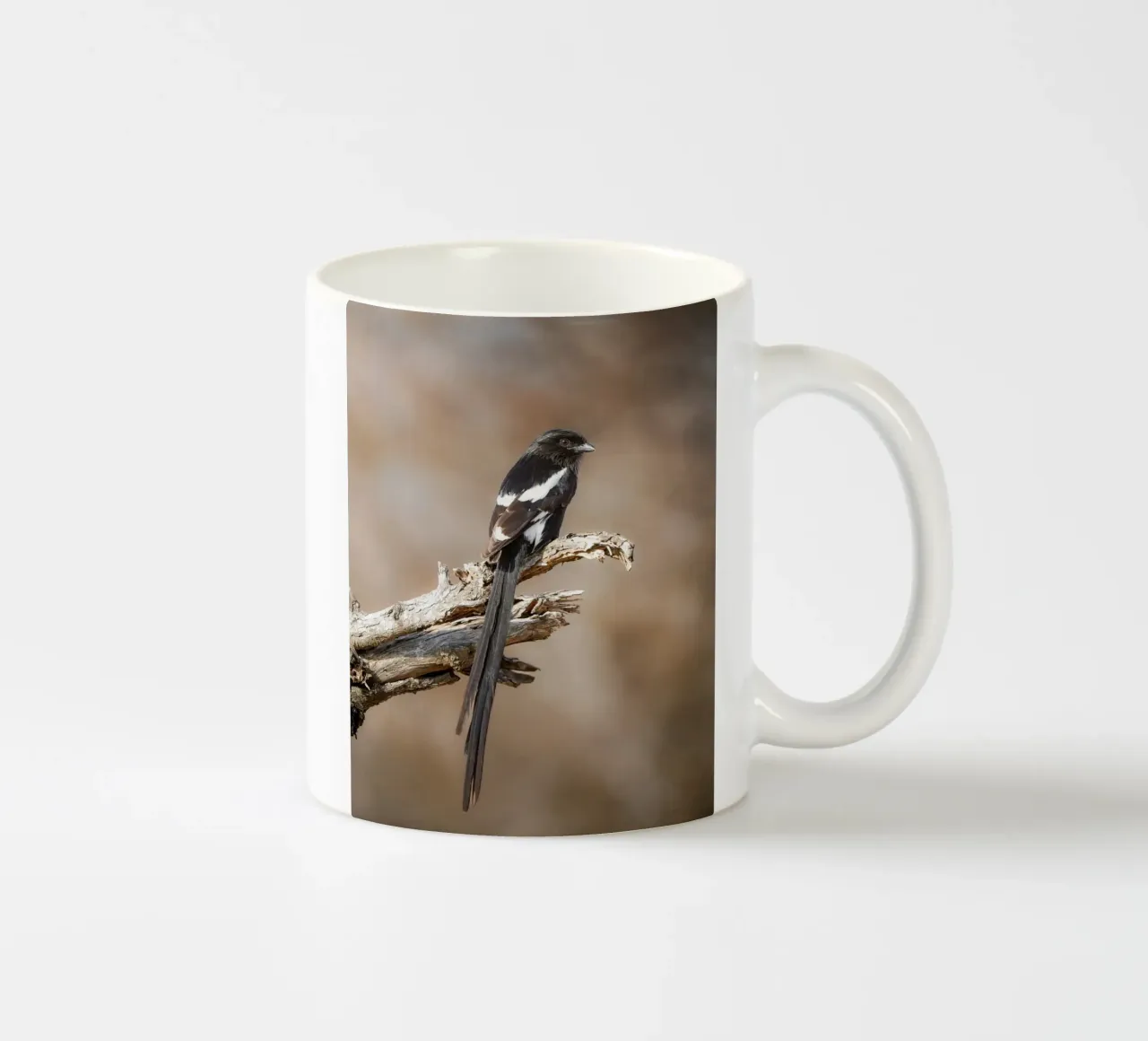 Averla di gazza tazza in ceramica da Tom's Wildlife