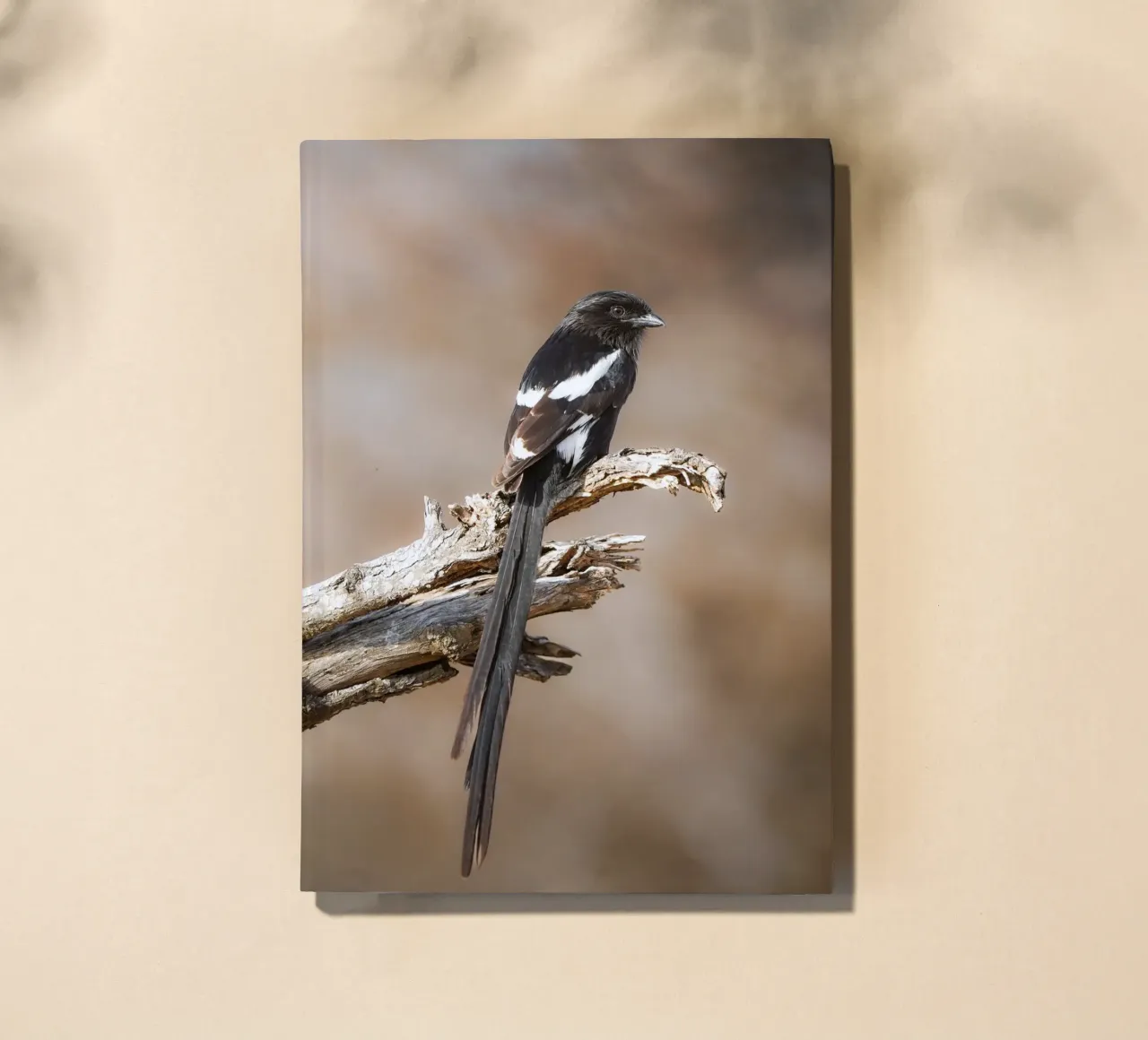 Magpie Shrike notebook by Tom's Wildlife
