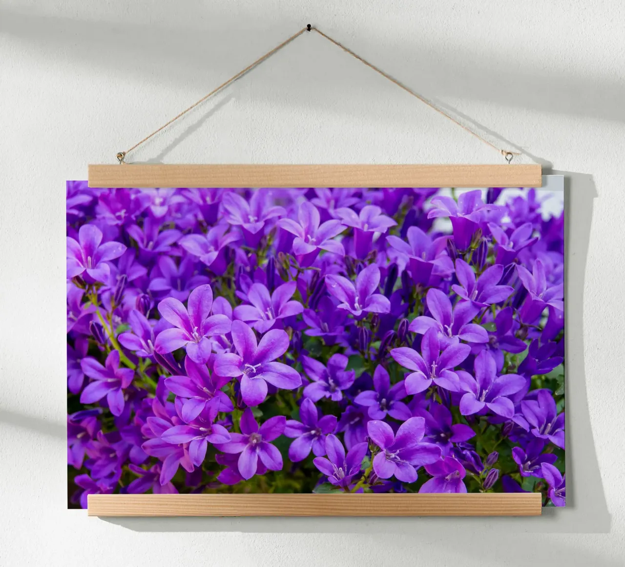Campanule viola poster con telaio in alluminio da anderm