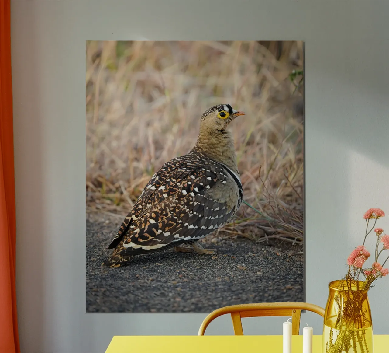 Fagiano di monte a doppia banda poster da Tom's Wildlife