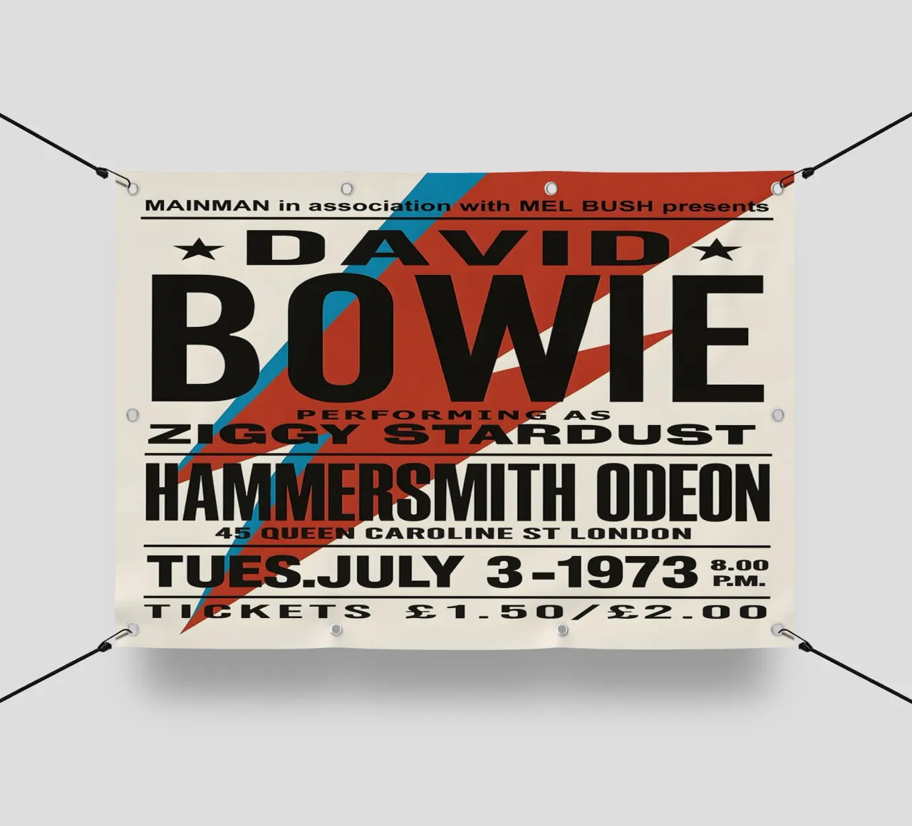 Reproduction David Bowie Hammersmith Odeon Music telo in pvc da DGUnder