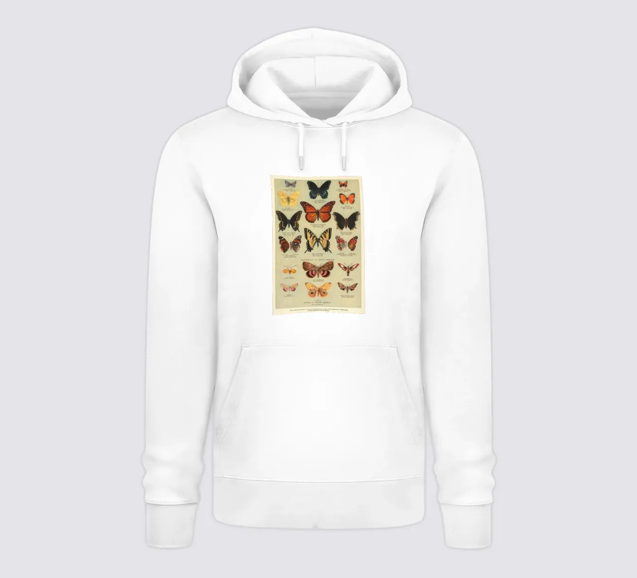 papillons mites nature faune insectes entomologie sweat à capuche de Graham Robertson