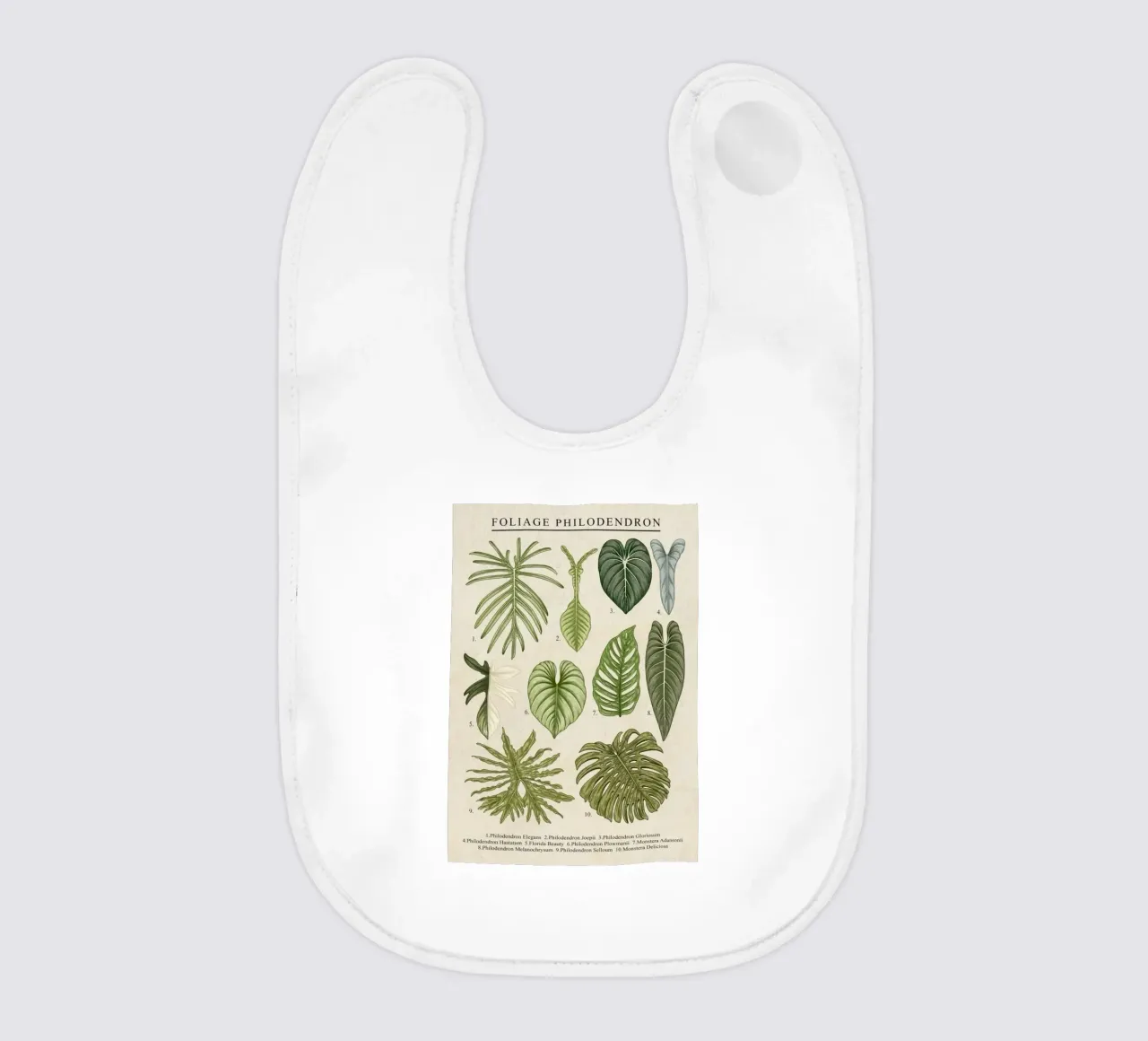 foliage philodendron leaves plant taxonomy botanical baby bib by Graham Robertson
