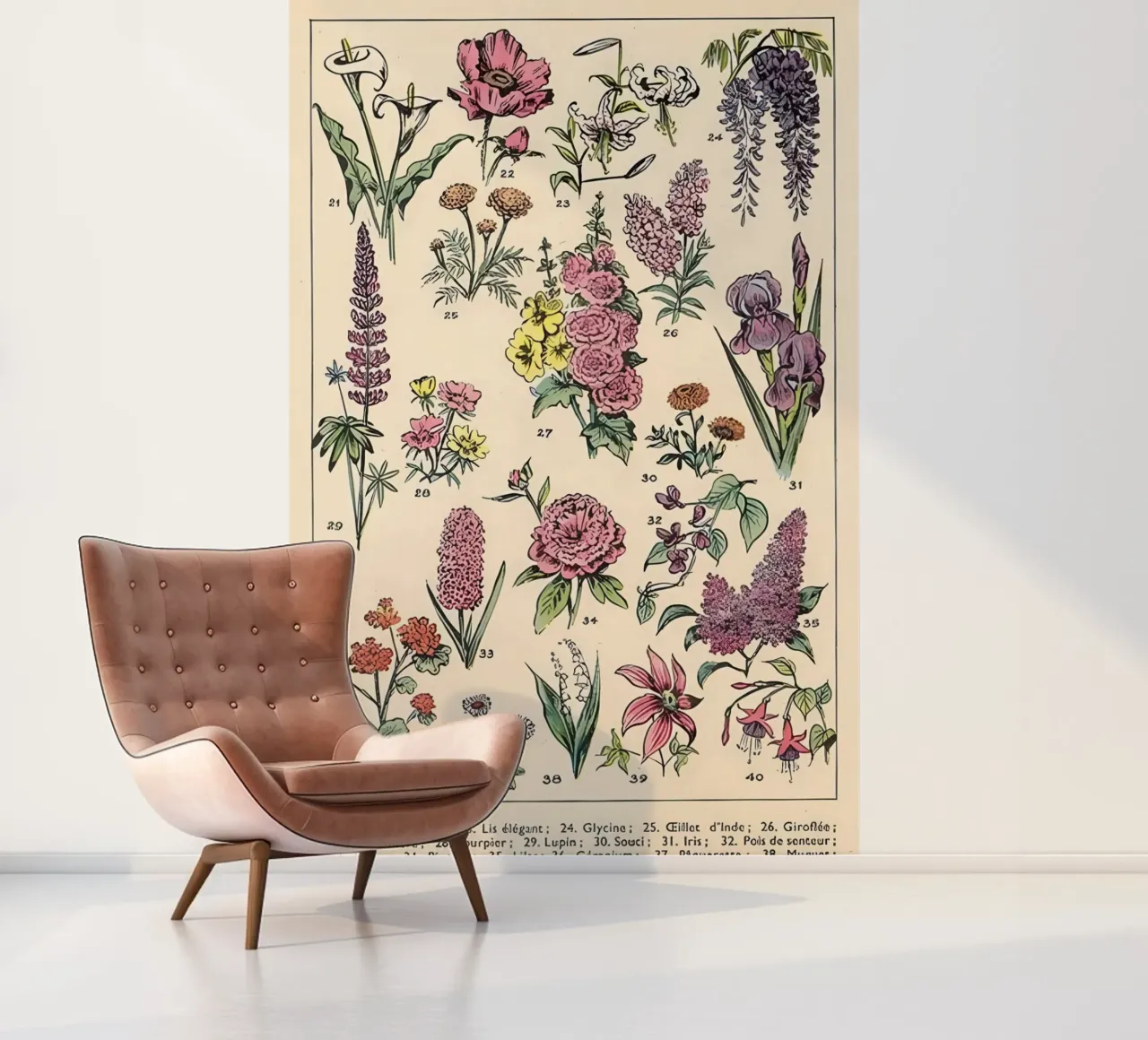 flowers araceae poppy lily wisteria photo wallpaper by Graham Robertson