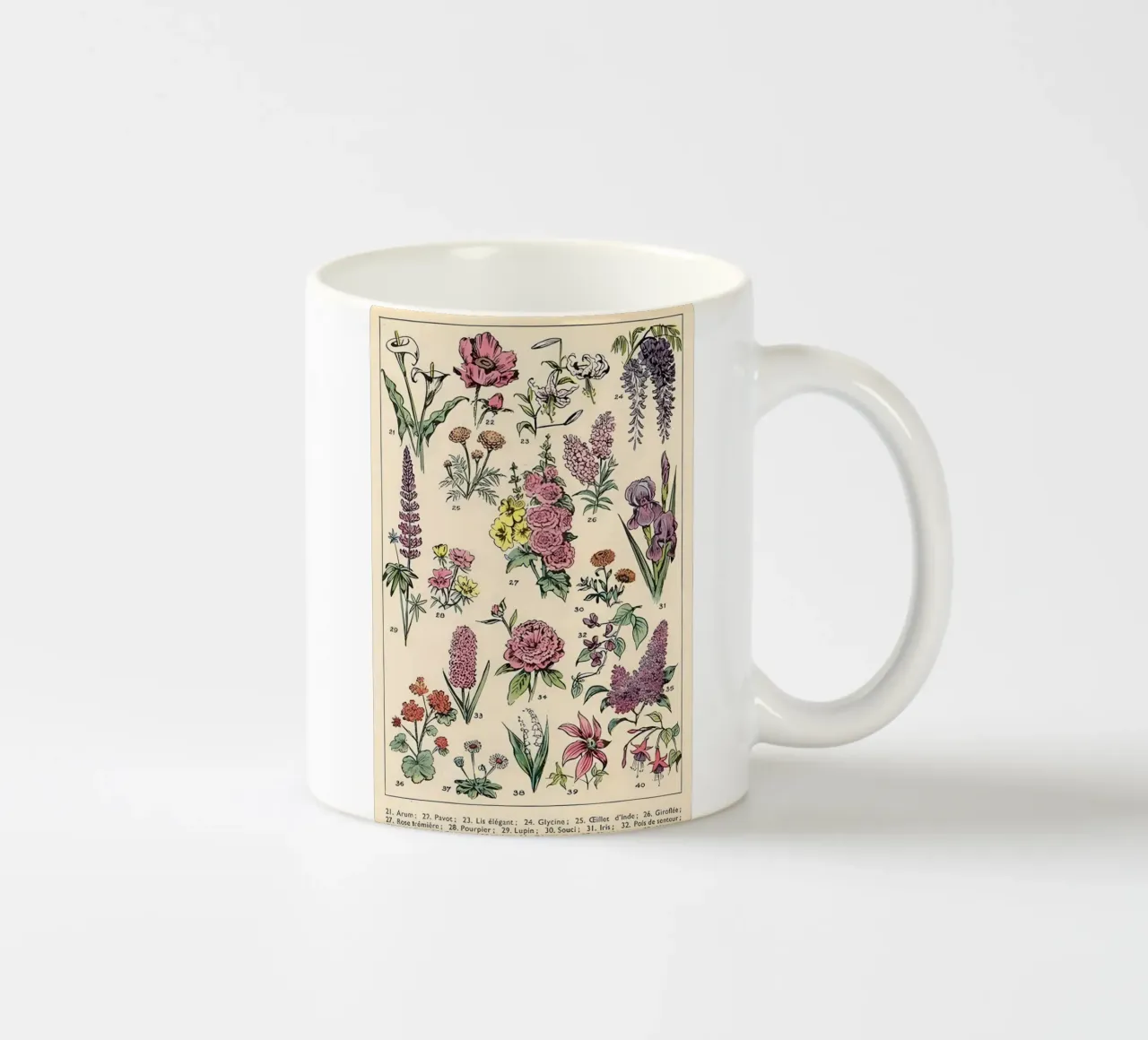 fiori araceae papavero giglio glicine tazza in ceramica da Graham Robertson