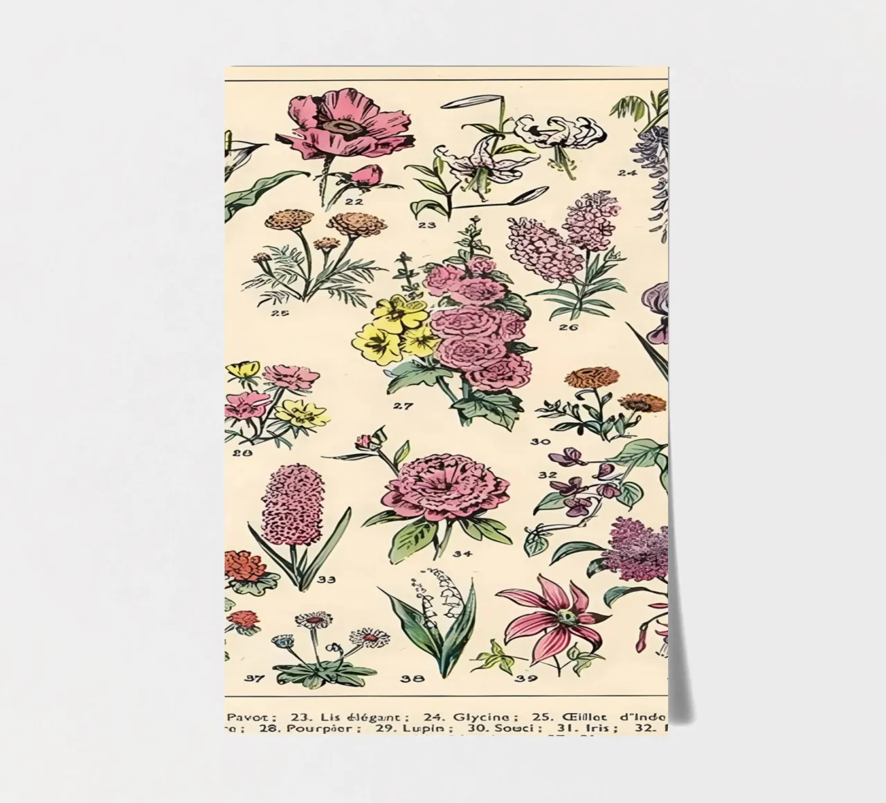 flowers araceae poppy lily wisteria sticker sheet by Graham Robertson