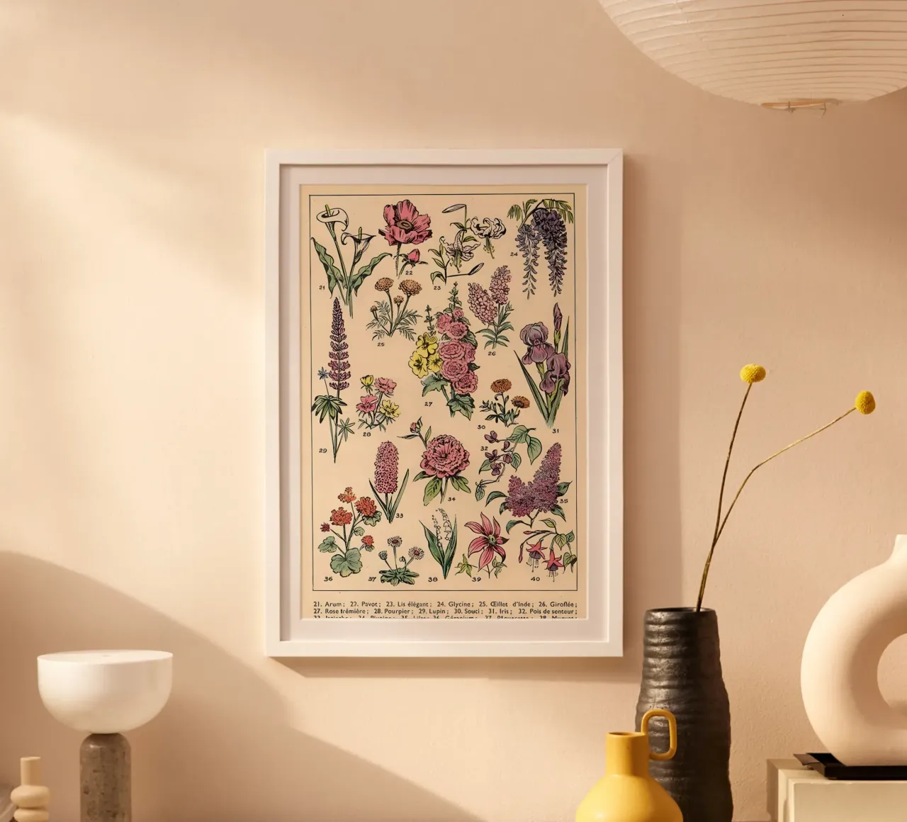 flores aráceas amapola lirio glicinia hahnemühle de Graham Robertson