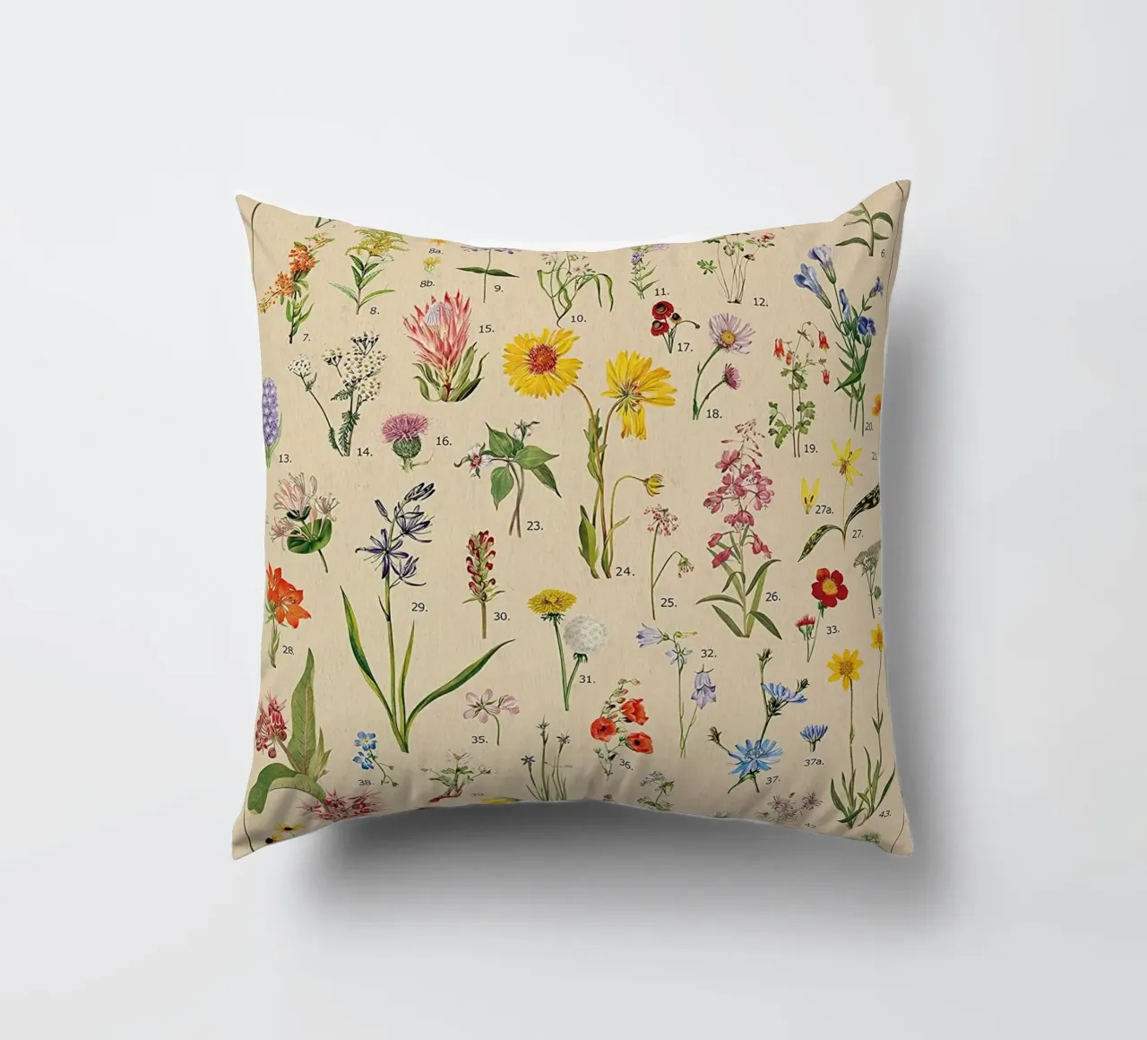 fiori selvatici botanici Nord America cuscino da Graham Robertson