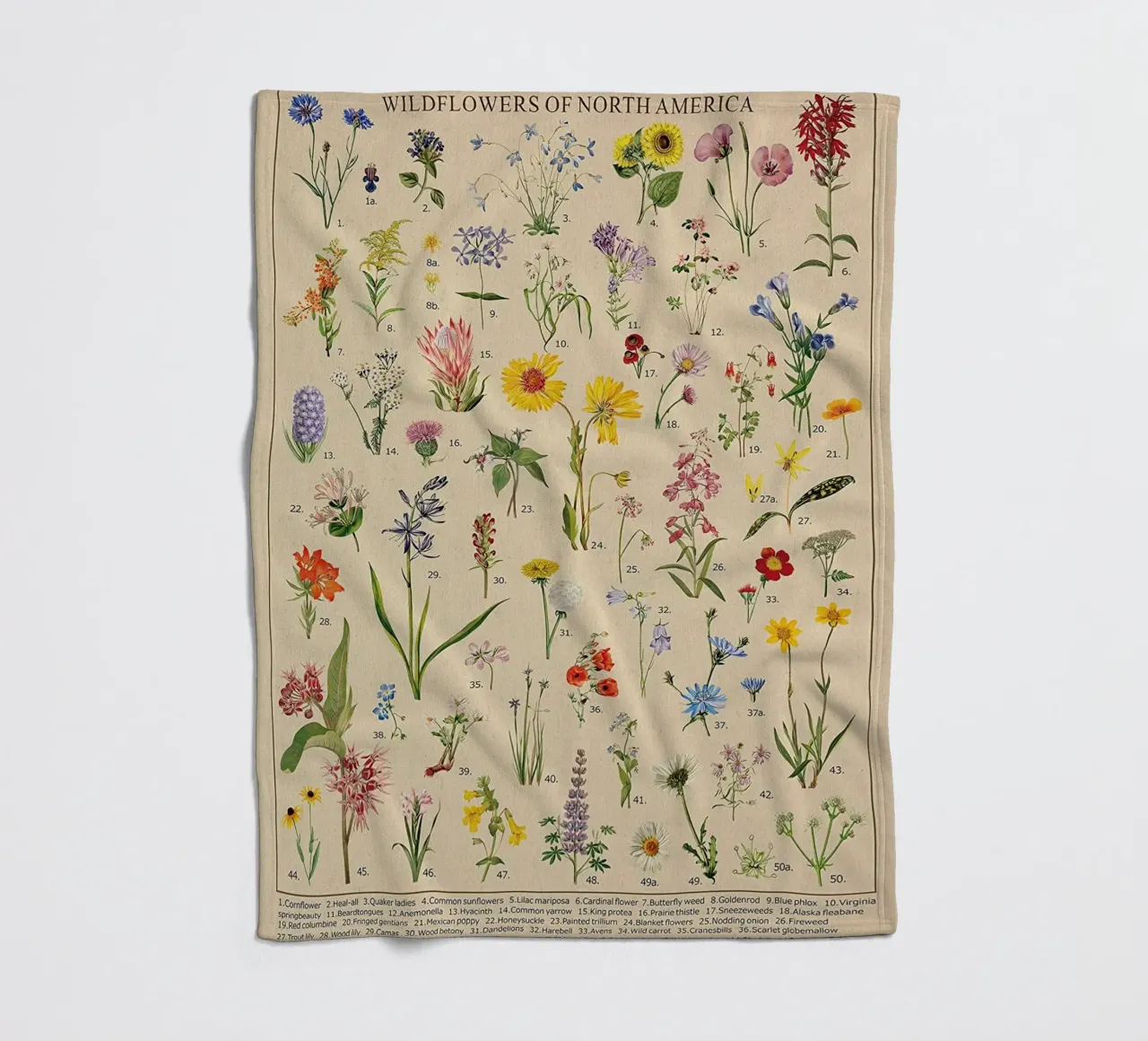 fiori selvatici botanici Nord America coperta in pile da Graham Robertson