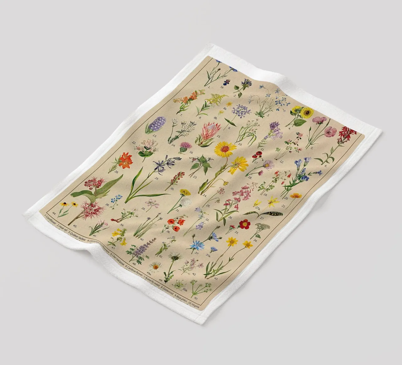 fiori selvatici botanici Nord America coperta in pile da Graham Robertson