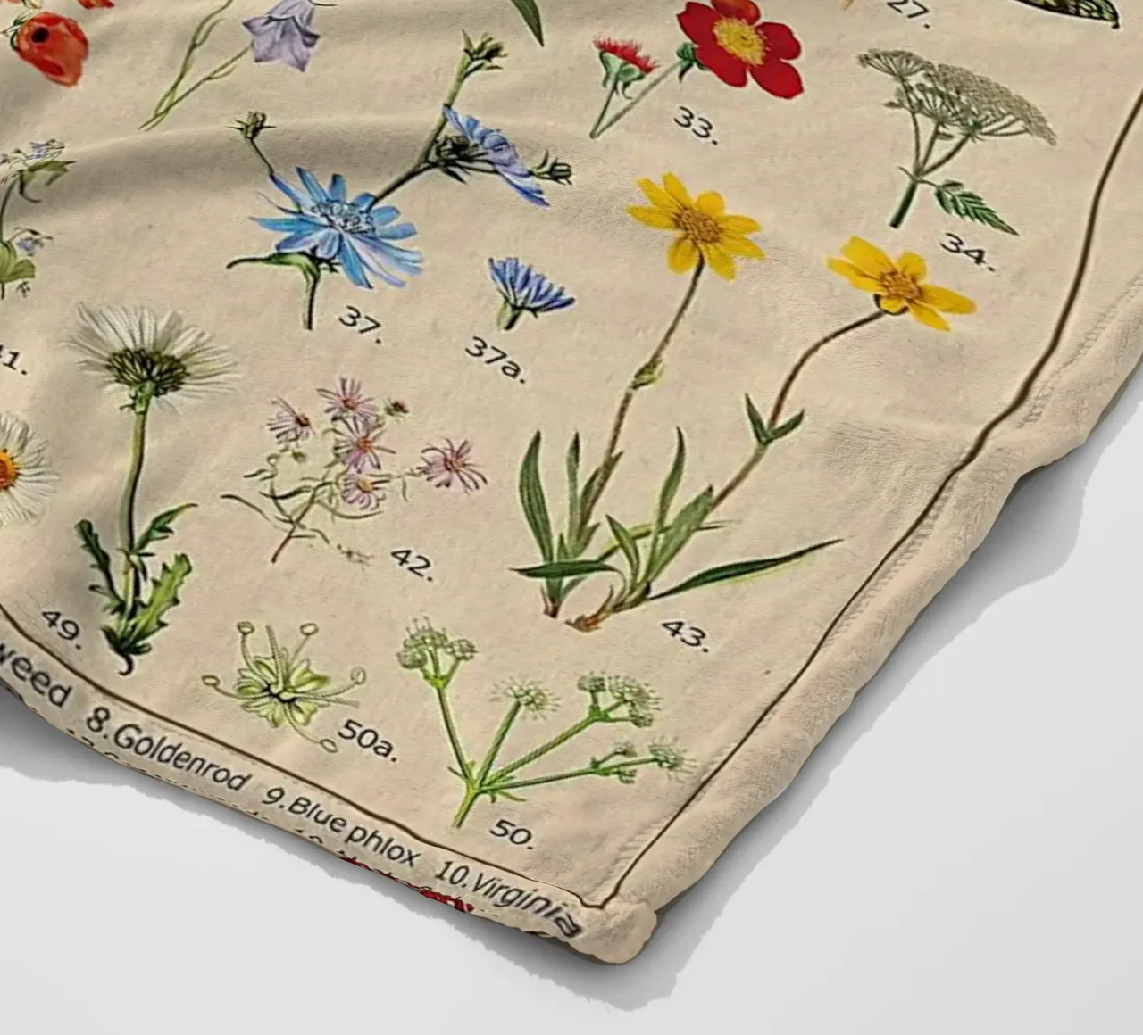 fiori selvatici botanici Nord America coperta in pile da Graham Robertson