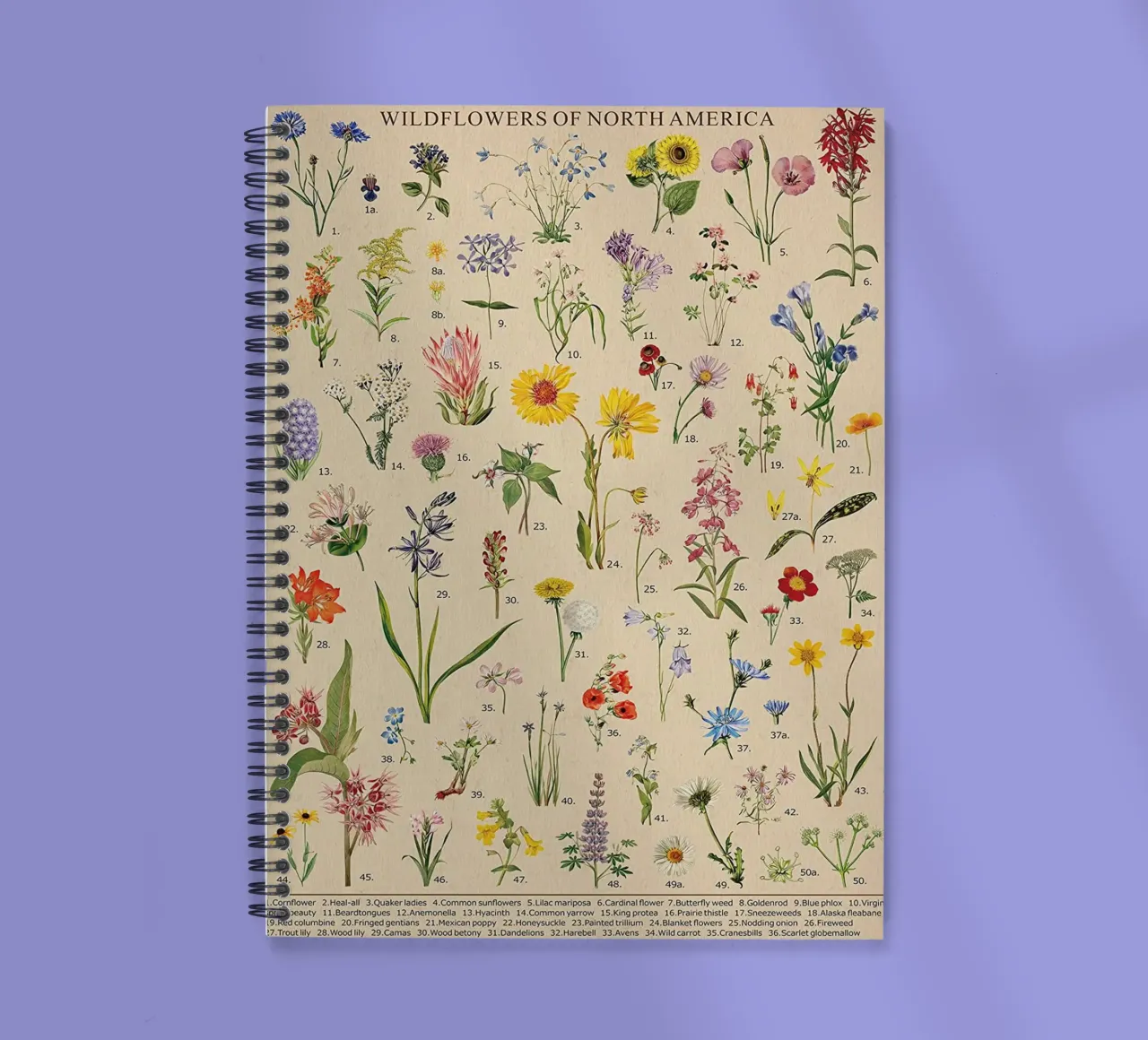 wildflowers botanical North America spiral notebook by Graham Robertson