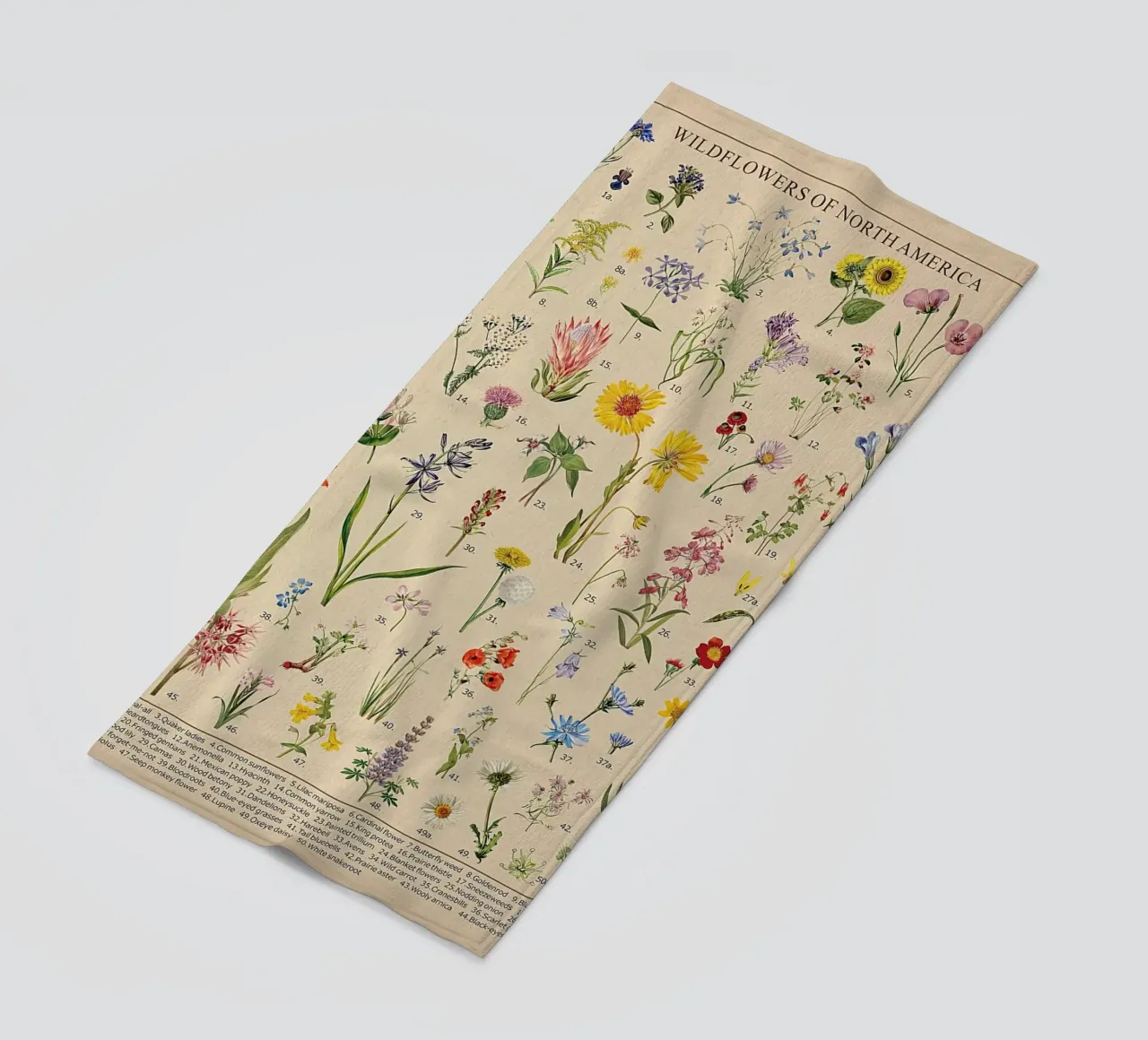 fiori selvatici botanici Nord America telo mare da Graham Robertson