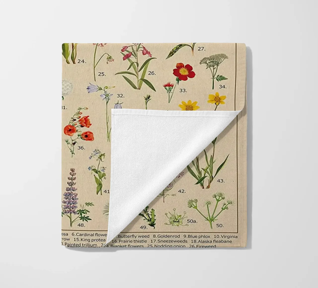 fiori selvatici botanici Nord America telo mare da Graham Robertson