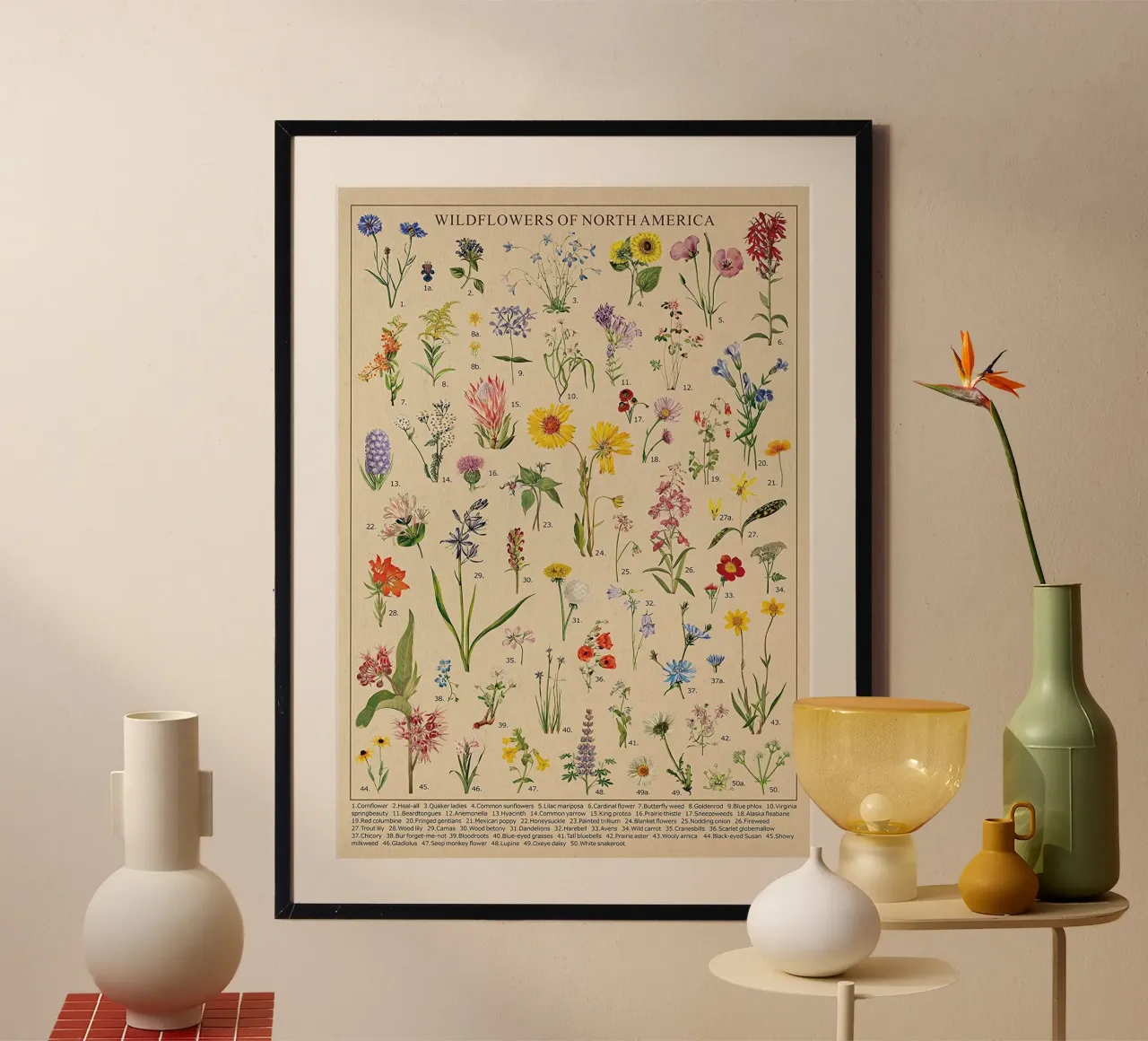 Wildblumen botanisch Nordamerika Hahnemühle von Graham Robertson