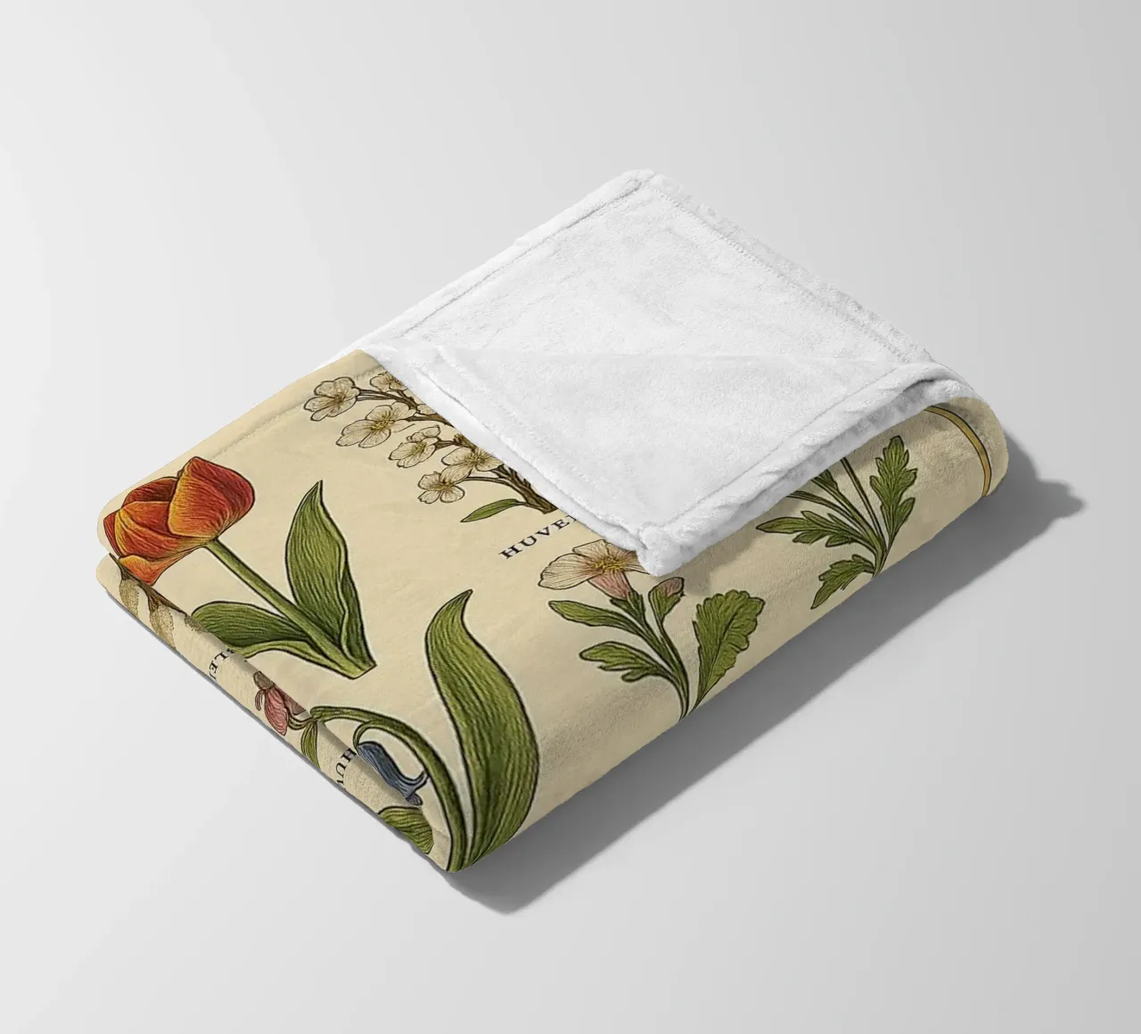 fiocco di neve primula tulipano brossemaeros coperta in pile da Graham Robertson