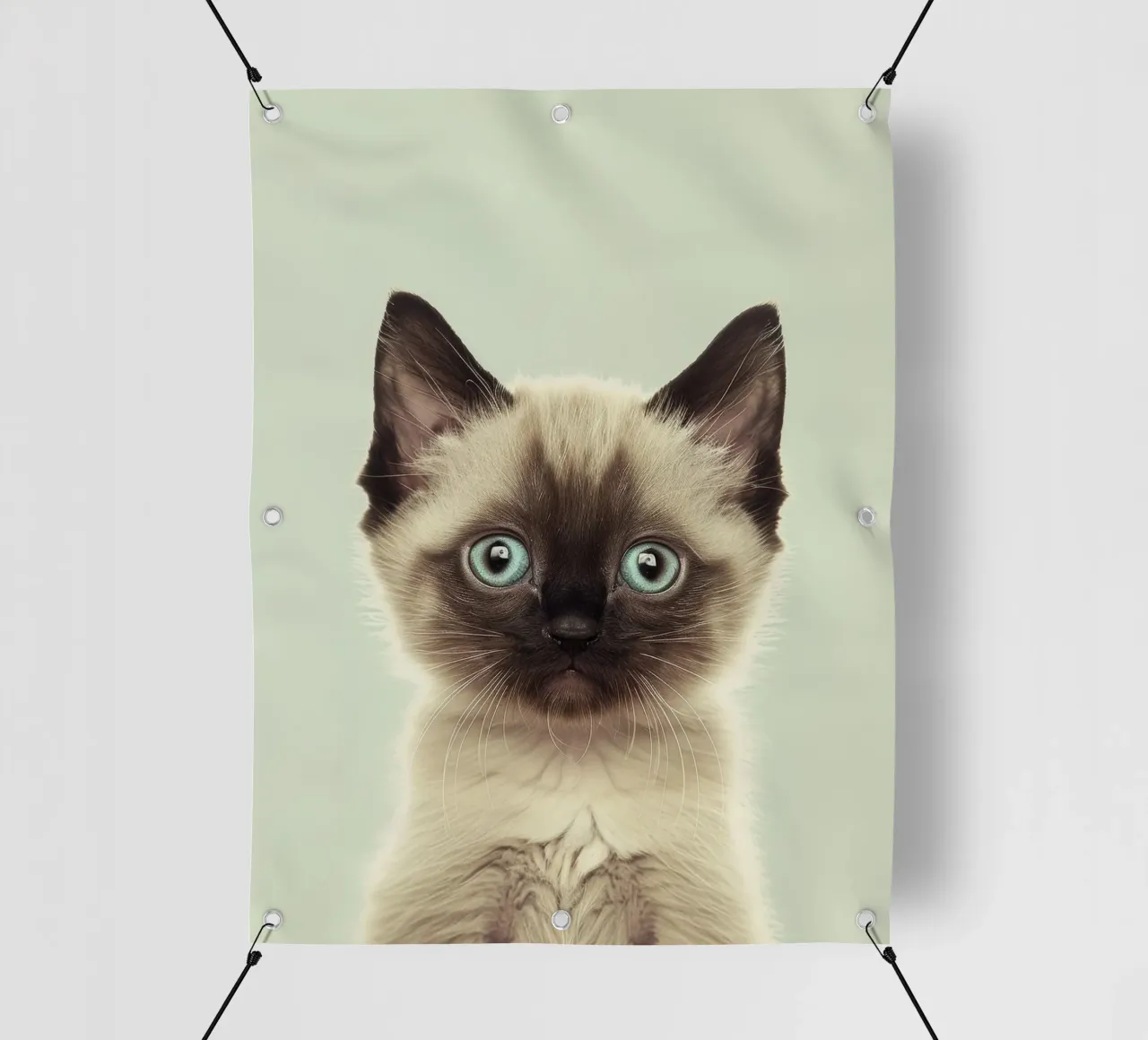 Un simpatico gattino con straordinari occhi azzurri e marcature distinte telo in pvc da DesignDoodle