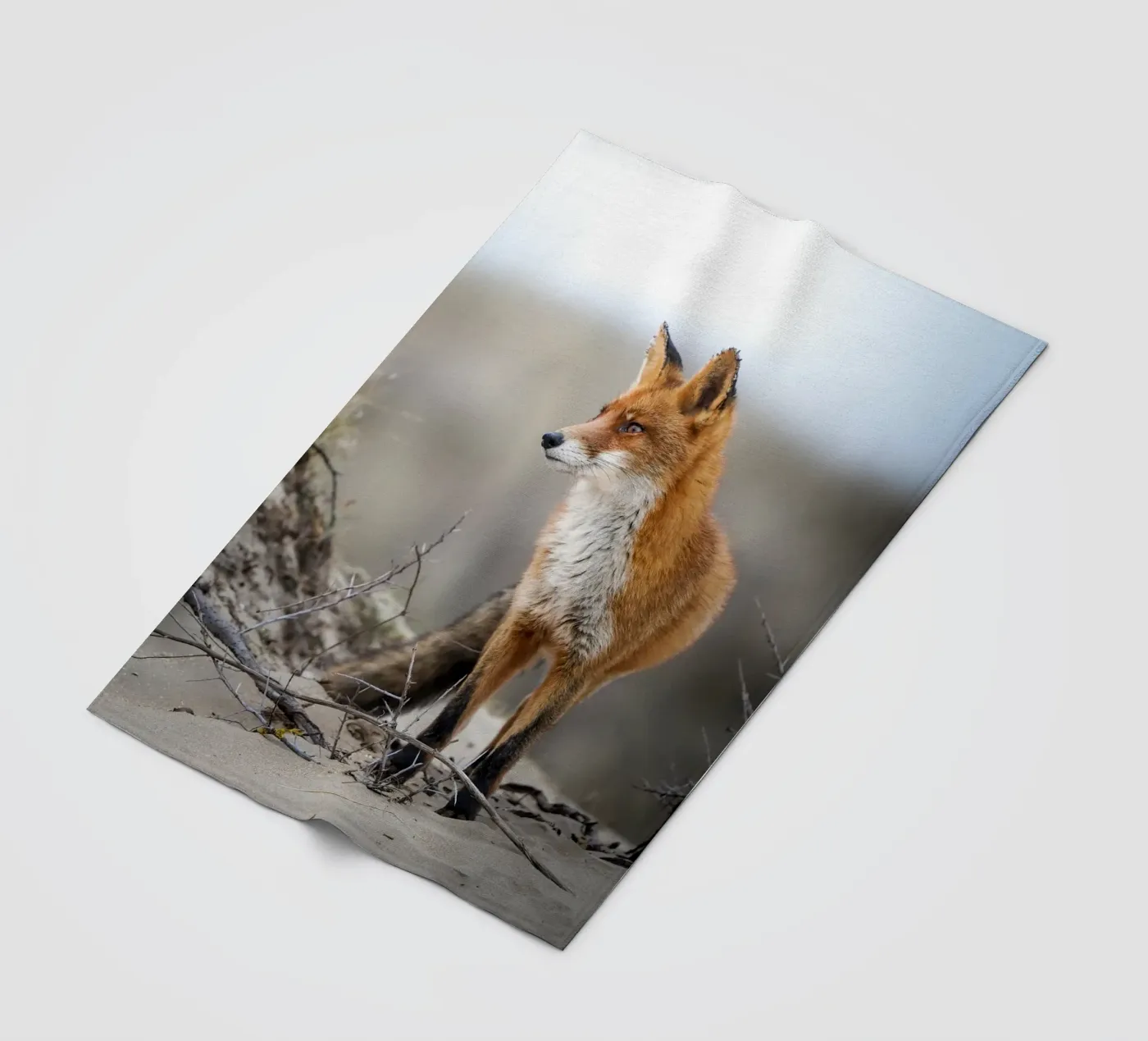 Rode vos fleecedeken van Tom's Wildlife