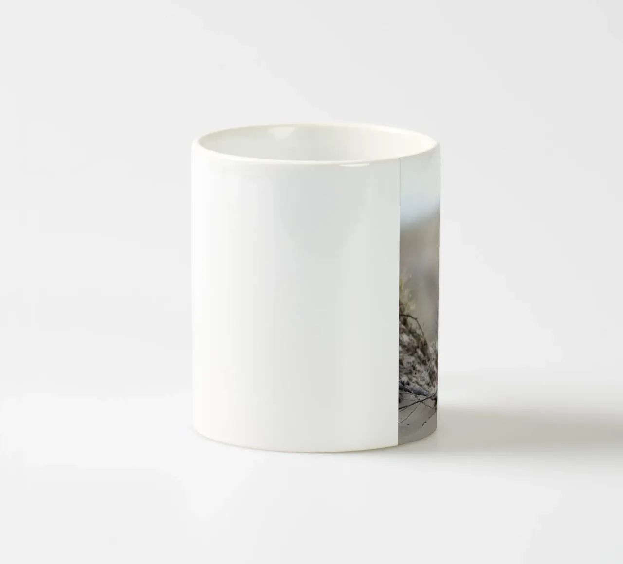Volpe rossa tazza in ceramica da Tom's Wildlife