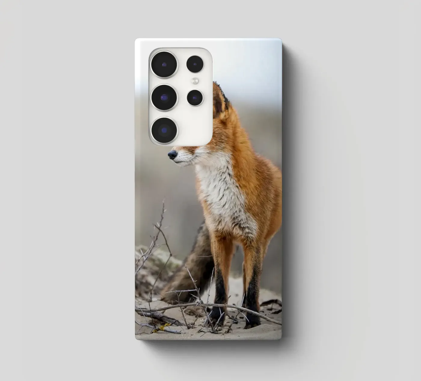 Red fox Samsung Hülle von Tom's Wildlife