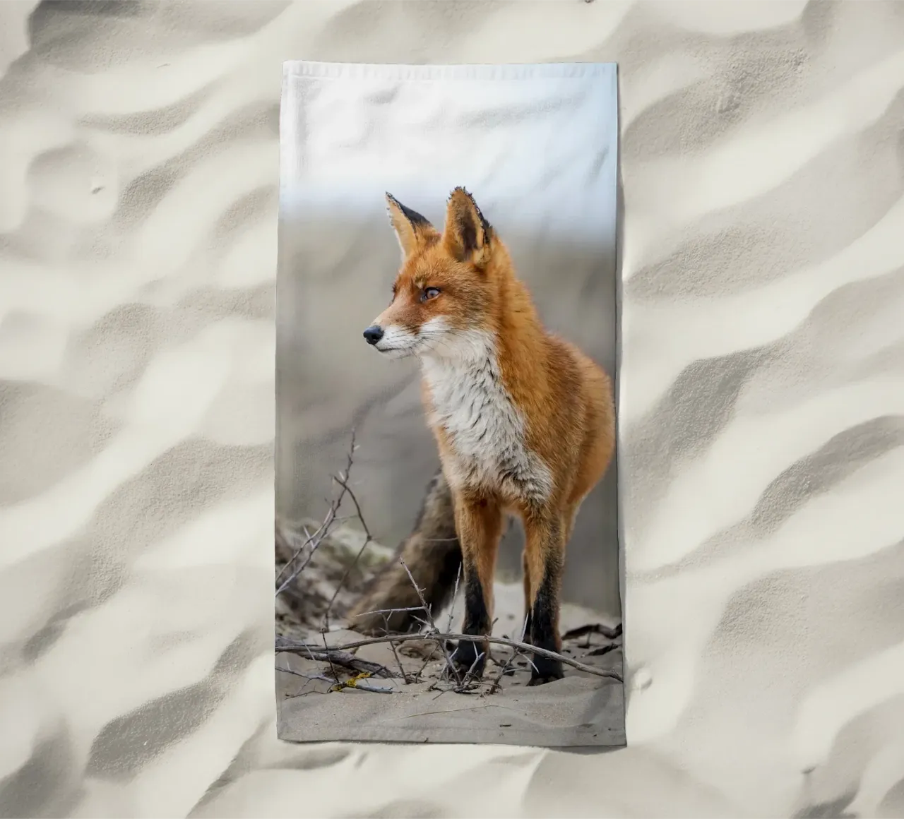 Volpe rossa telo mare da Tom's Wildlife