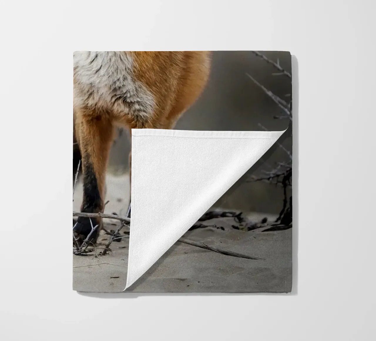 Volpe rossa telo mare da Tom's Wildlife