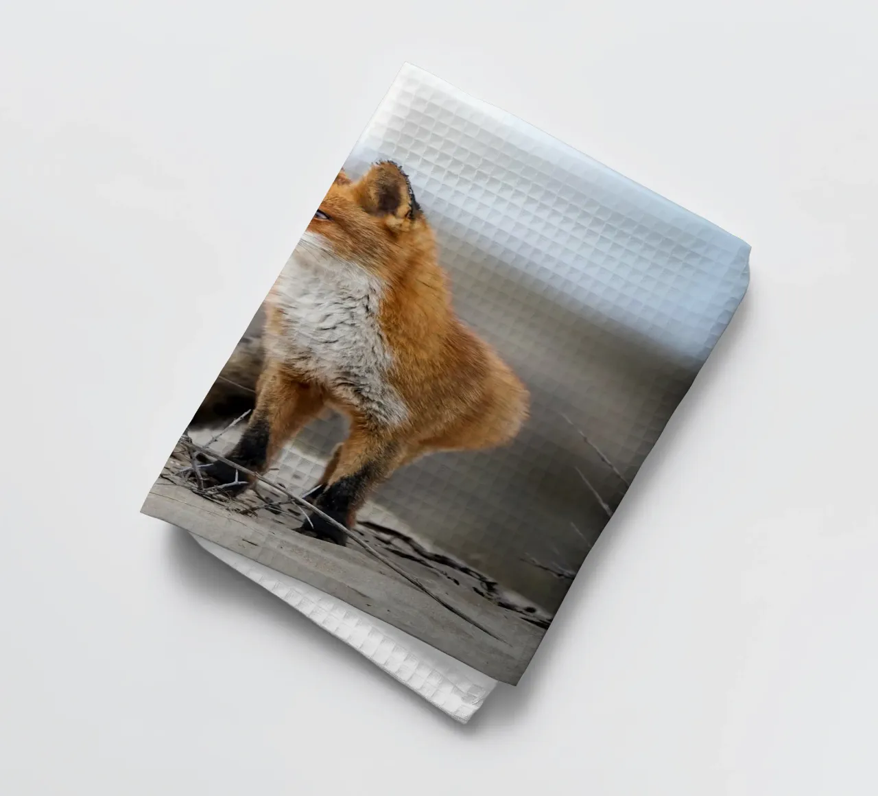 Rotfuchs Geschirrtuch von Tom's Wildlife