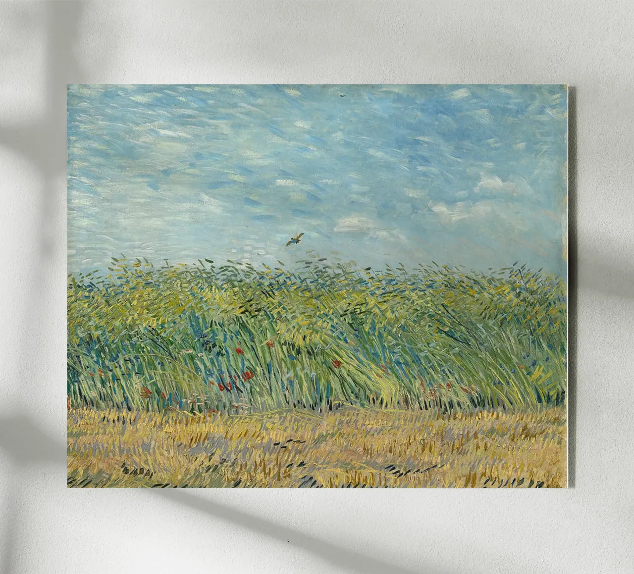 Campo di grano con pernice plexiglass da ValerieArt