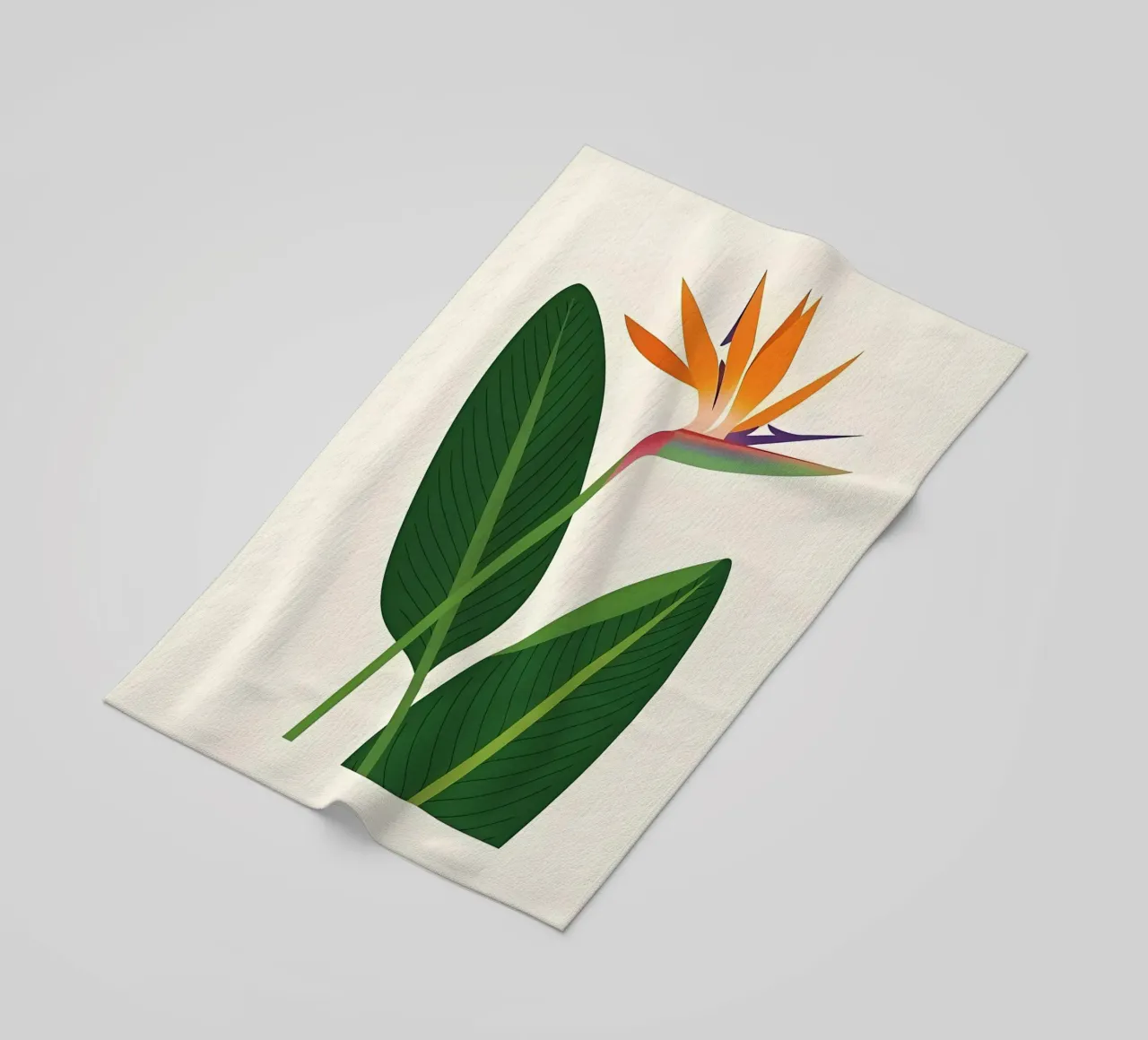 strelitzia telo mare da Haleigh