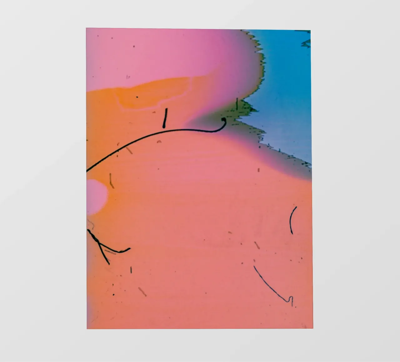 gradient vibrant telo in pvc da prindy