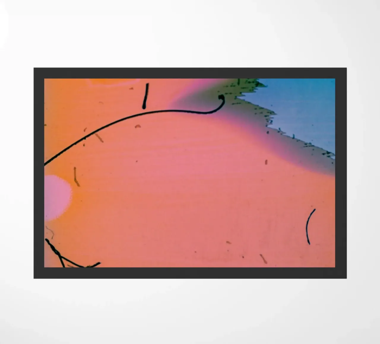 gradient vibrant zerbino da prindy